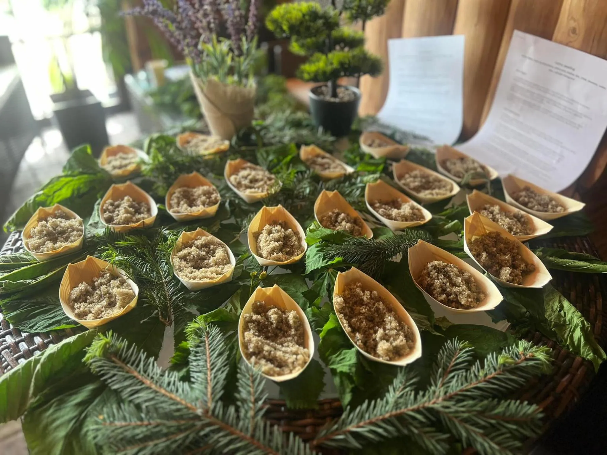 Sommer Residence Hotel&Spa