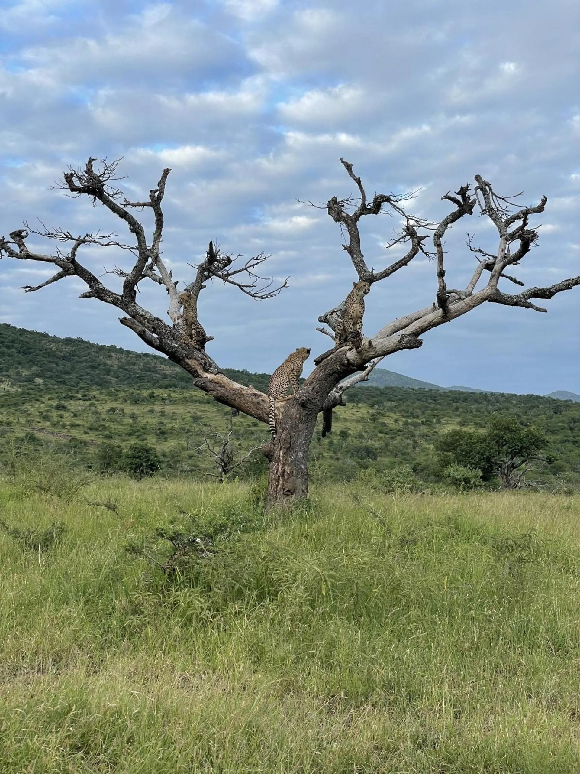 Activities in Rhino River Lodge