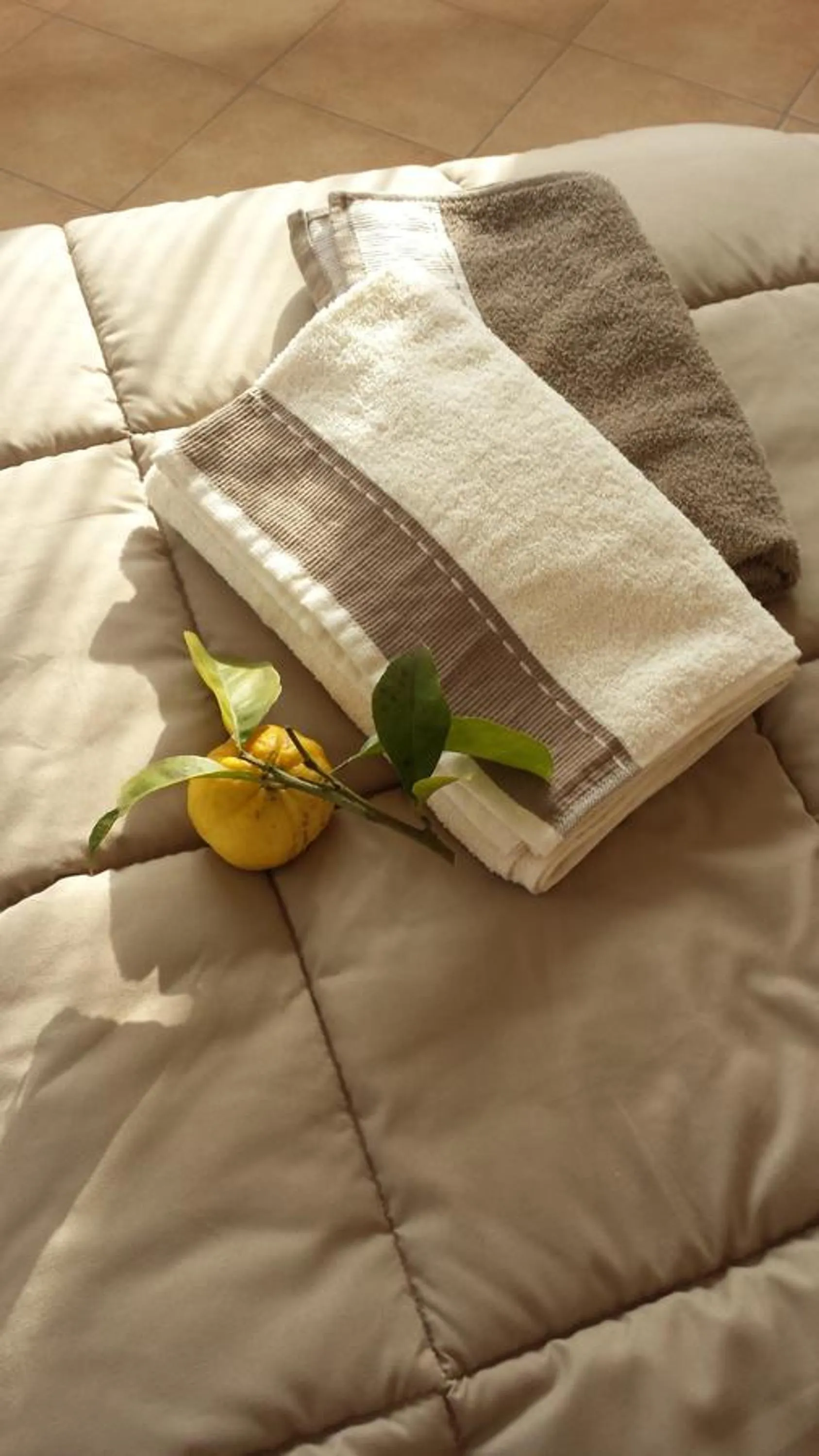 Other in Casa Versilia Hotel