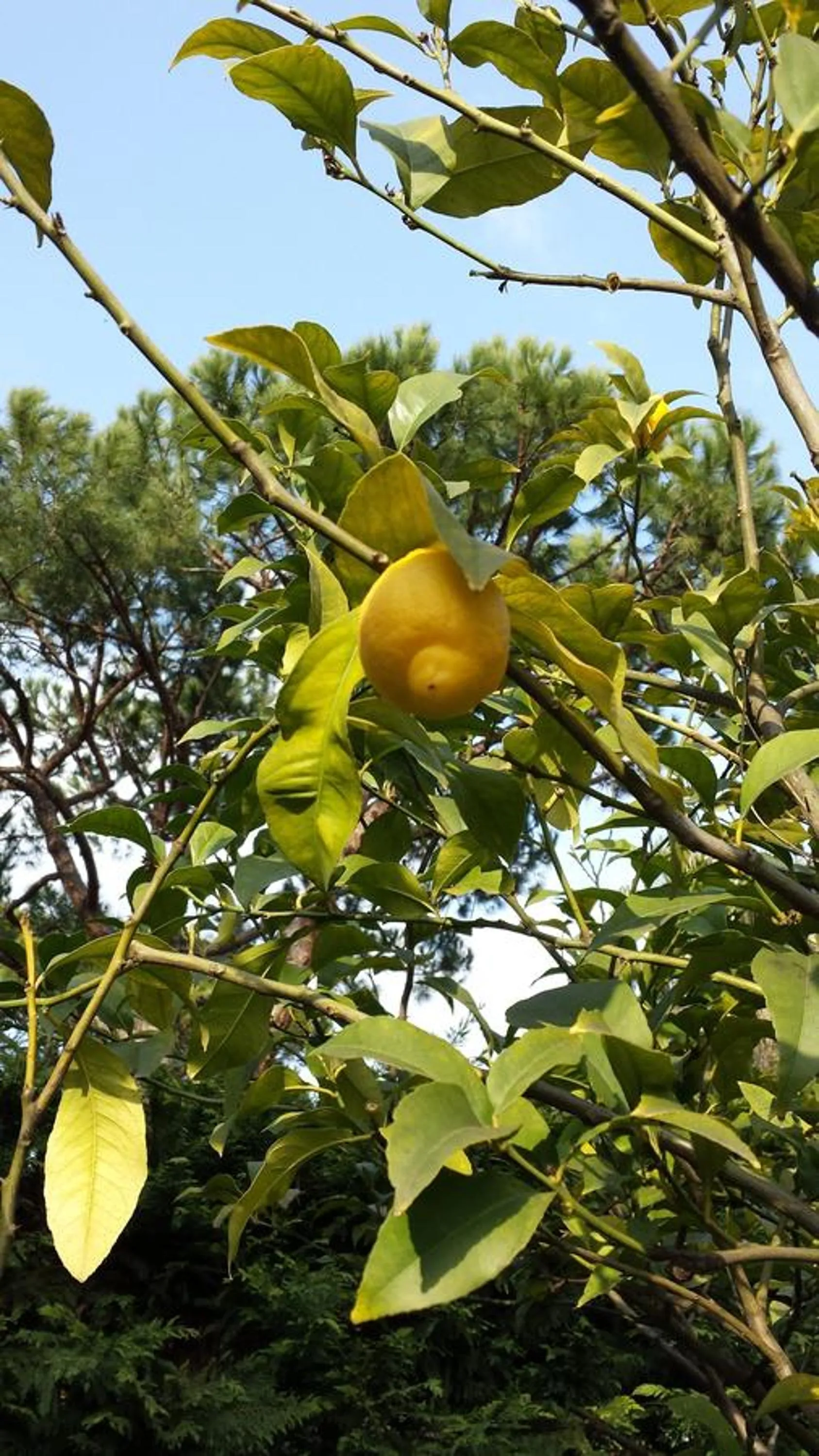 Day in Casa Versilia Hotel