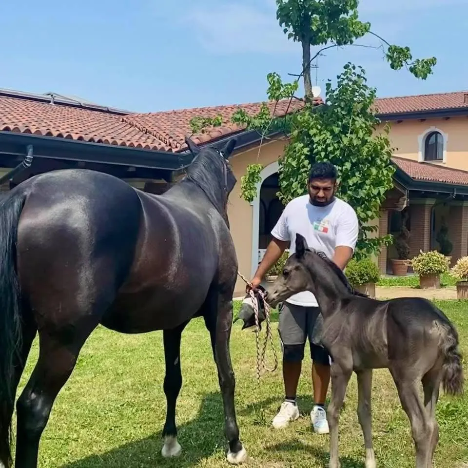 Agriturismo Il Boschetto