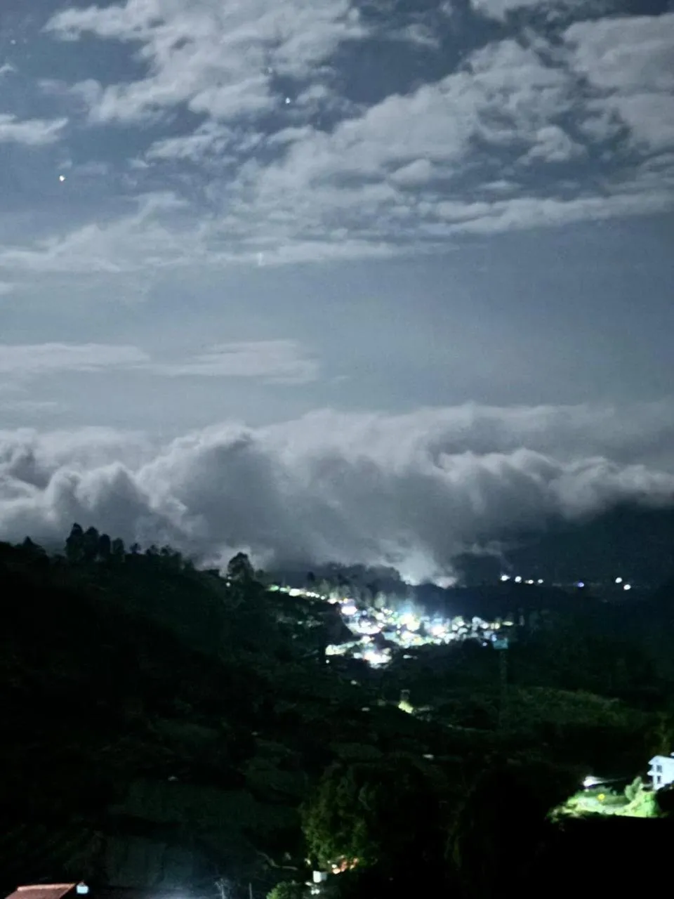 View (from property/room) in Kodai Hillscape