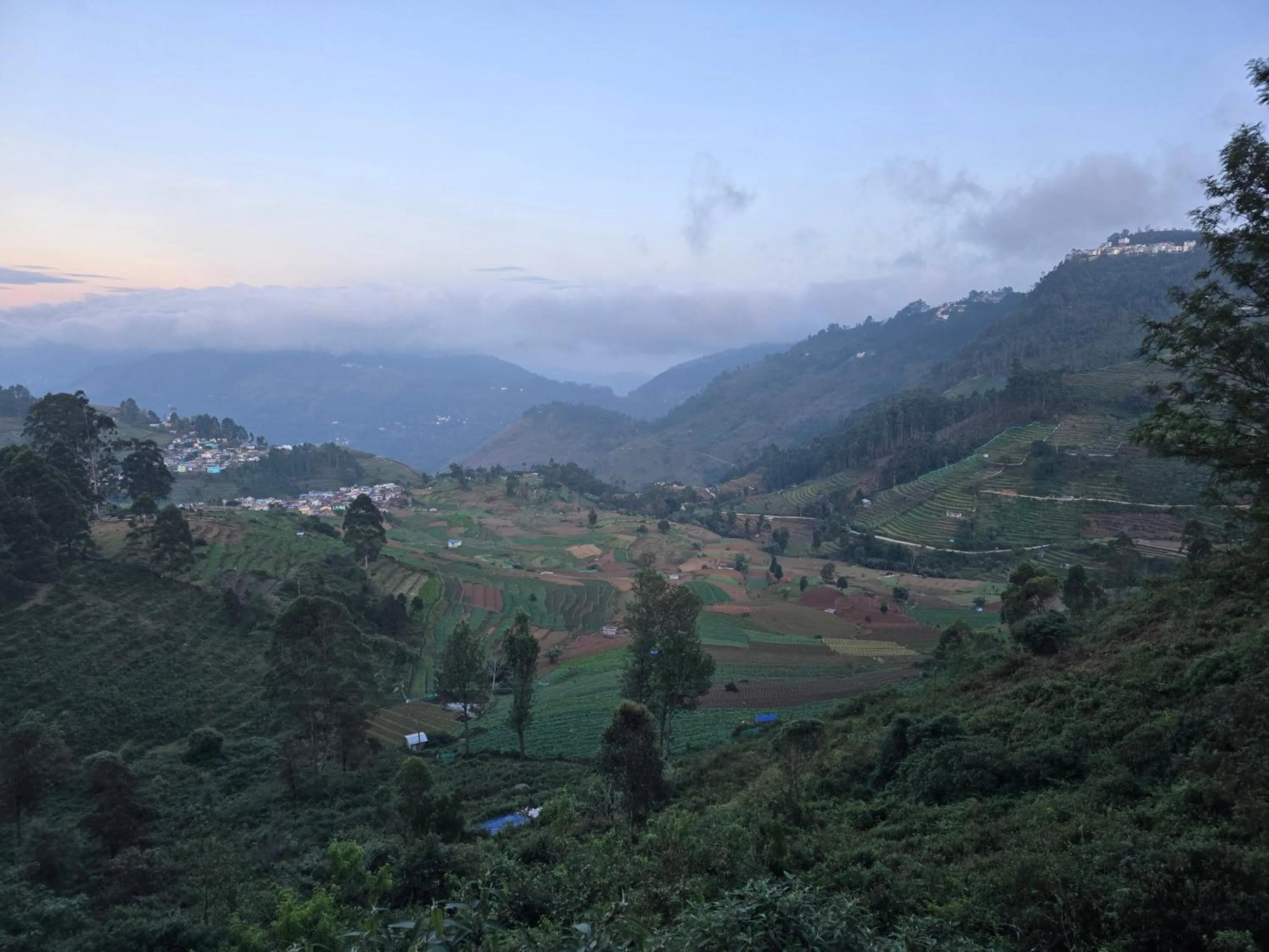 Spring in Kodai Hillscape