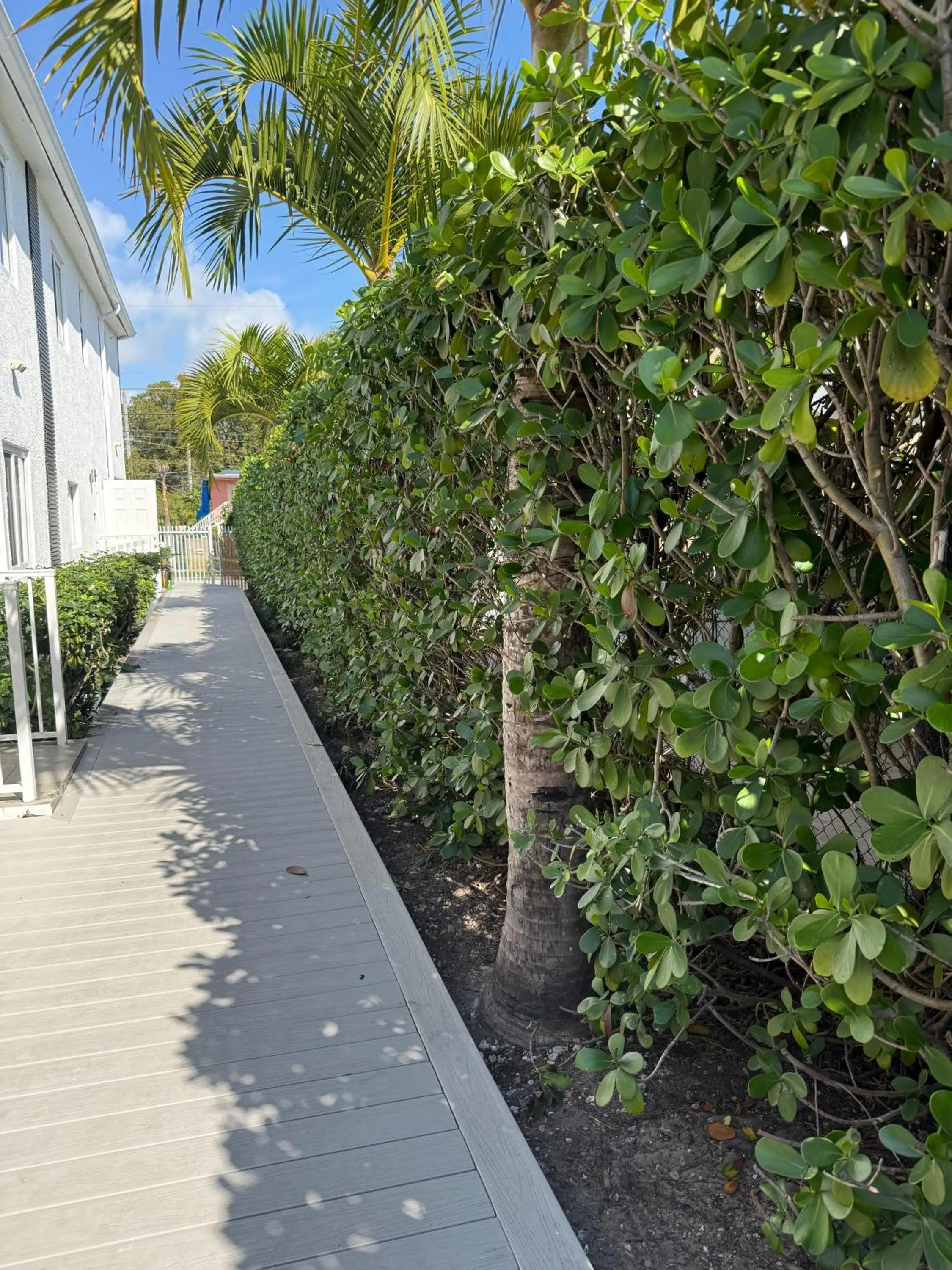 Garden in Renzzi Villas