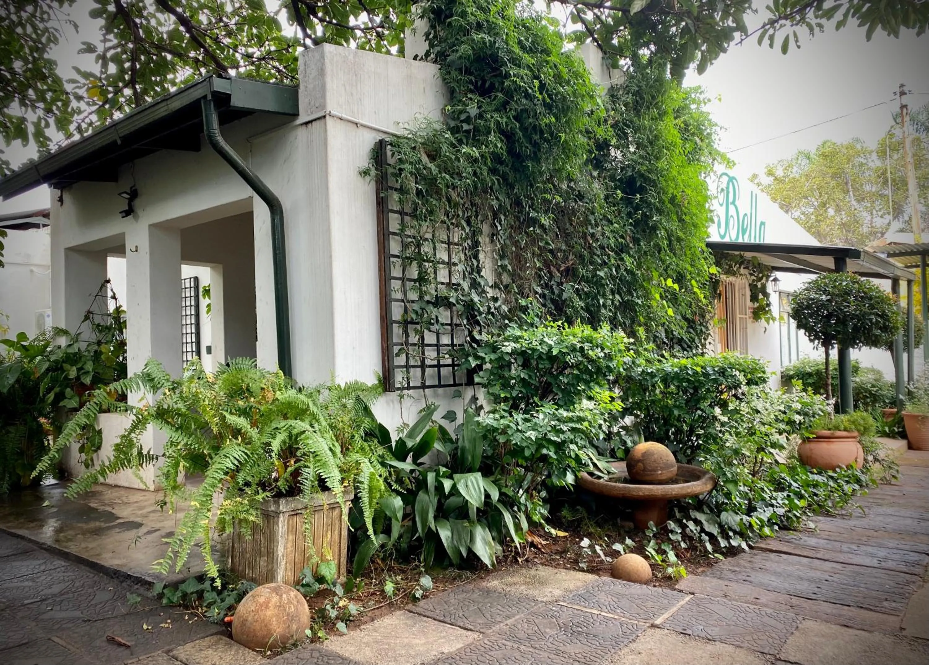 Garden in La Bella B&B Under The Fig Tree