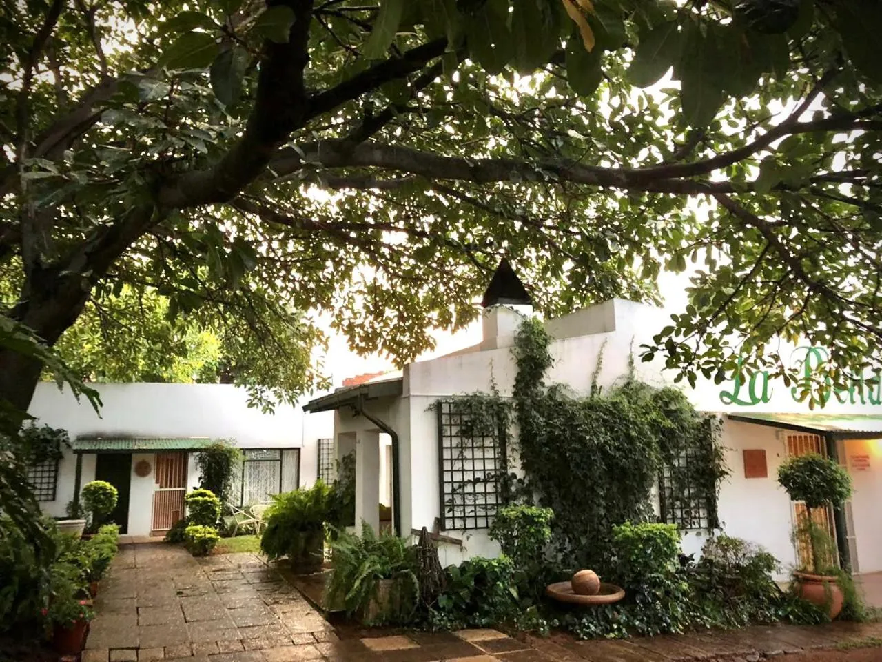 Garden in La Bella B&B Under The Fig Tree