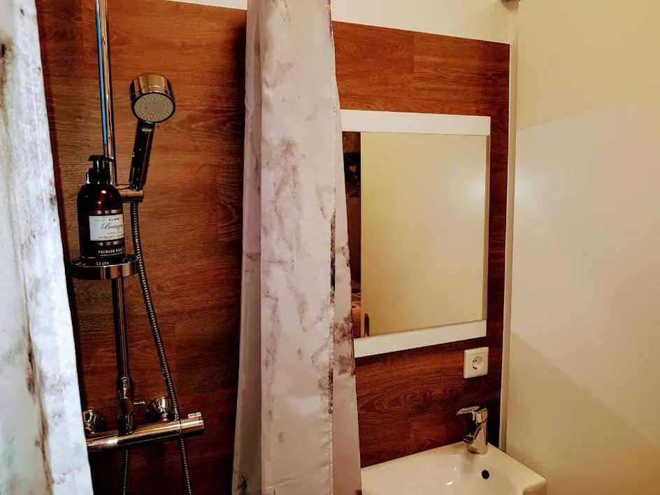 Bathroom in Skálatjörn Guesthouse