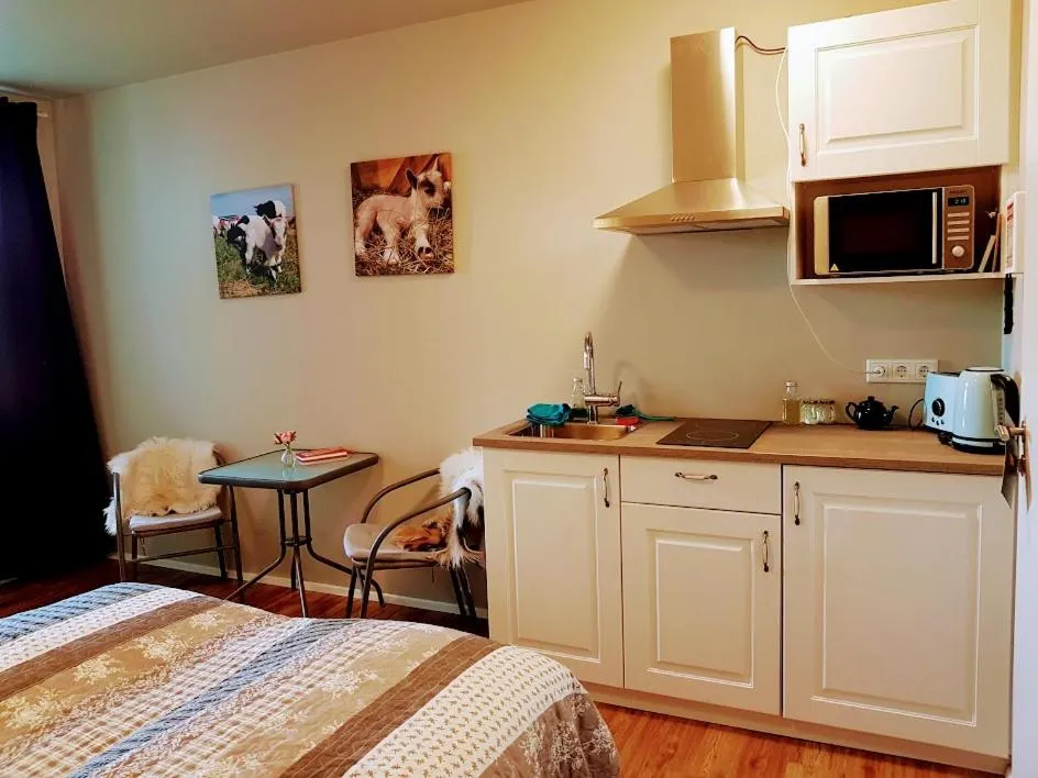 Kitchen or kitchenette in Skálatjörn Guesthouse