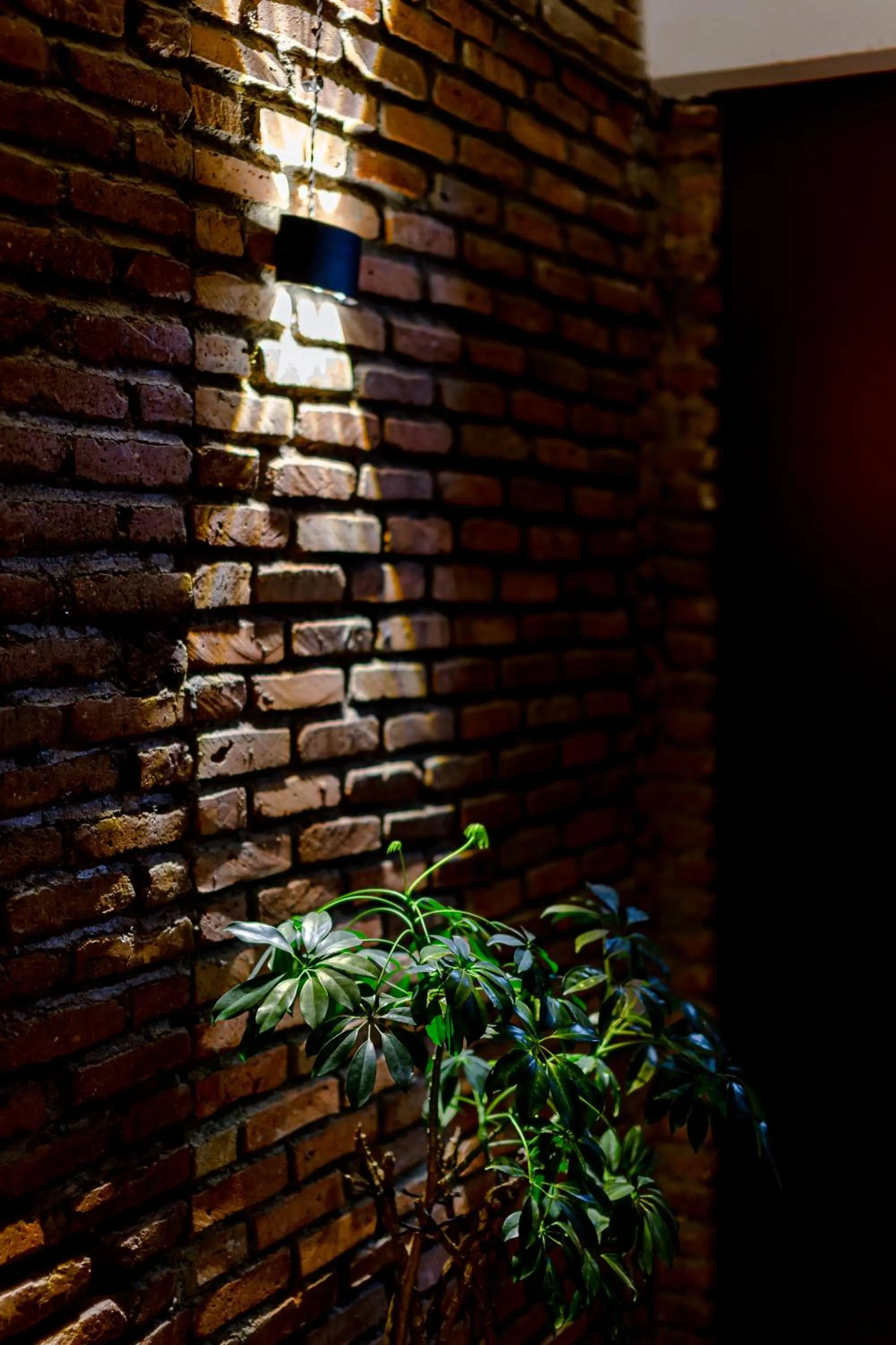 Ethnograph Hotel old Tbilisi