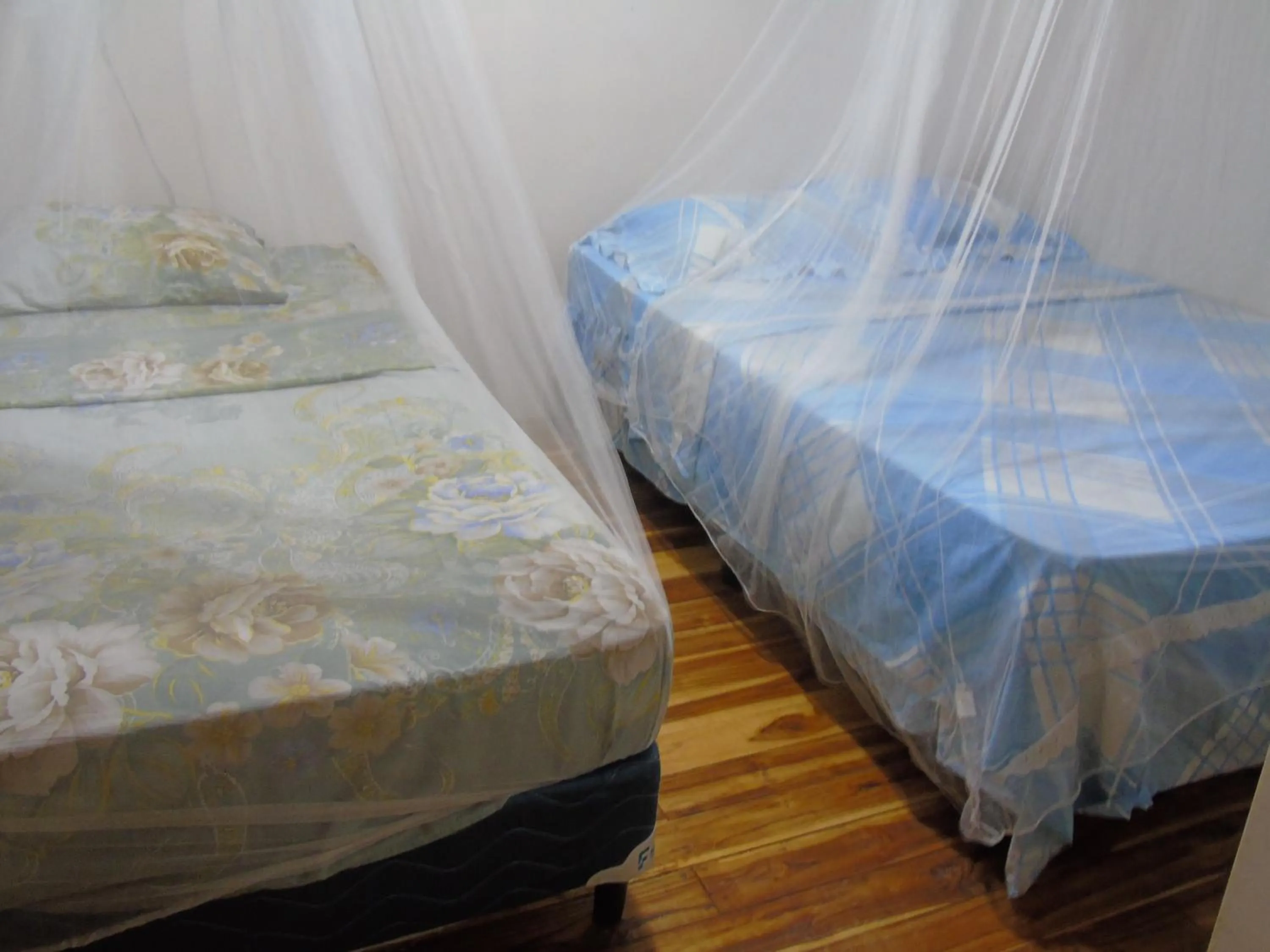 Bed in Hostal Villas Mexico