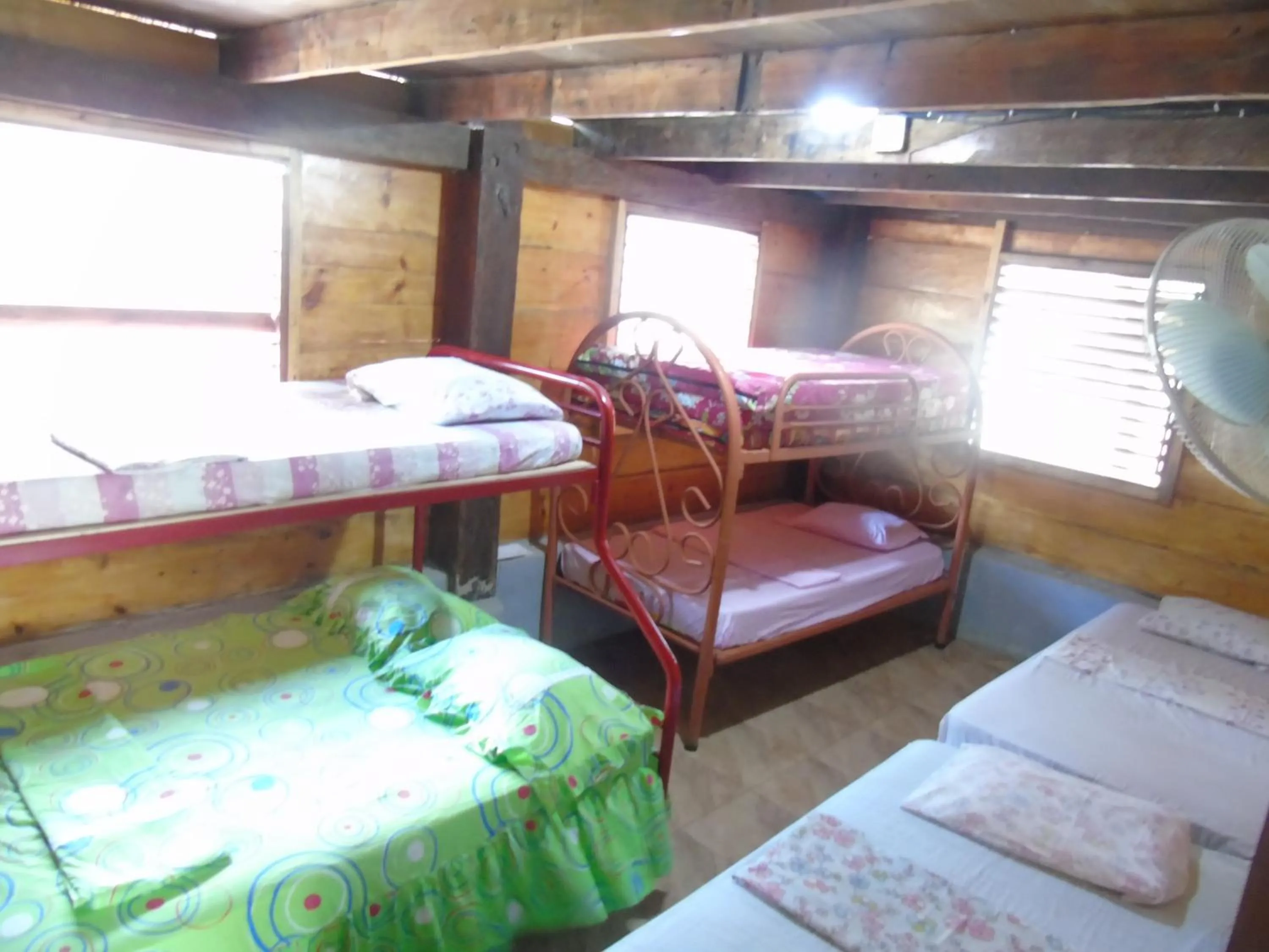 Shower, Bed in Hostal Villas Mexico