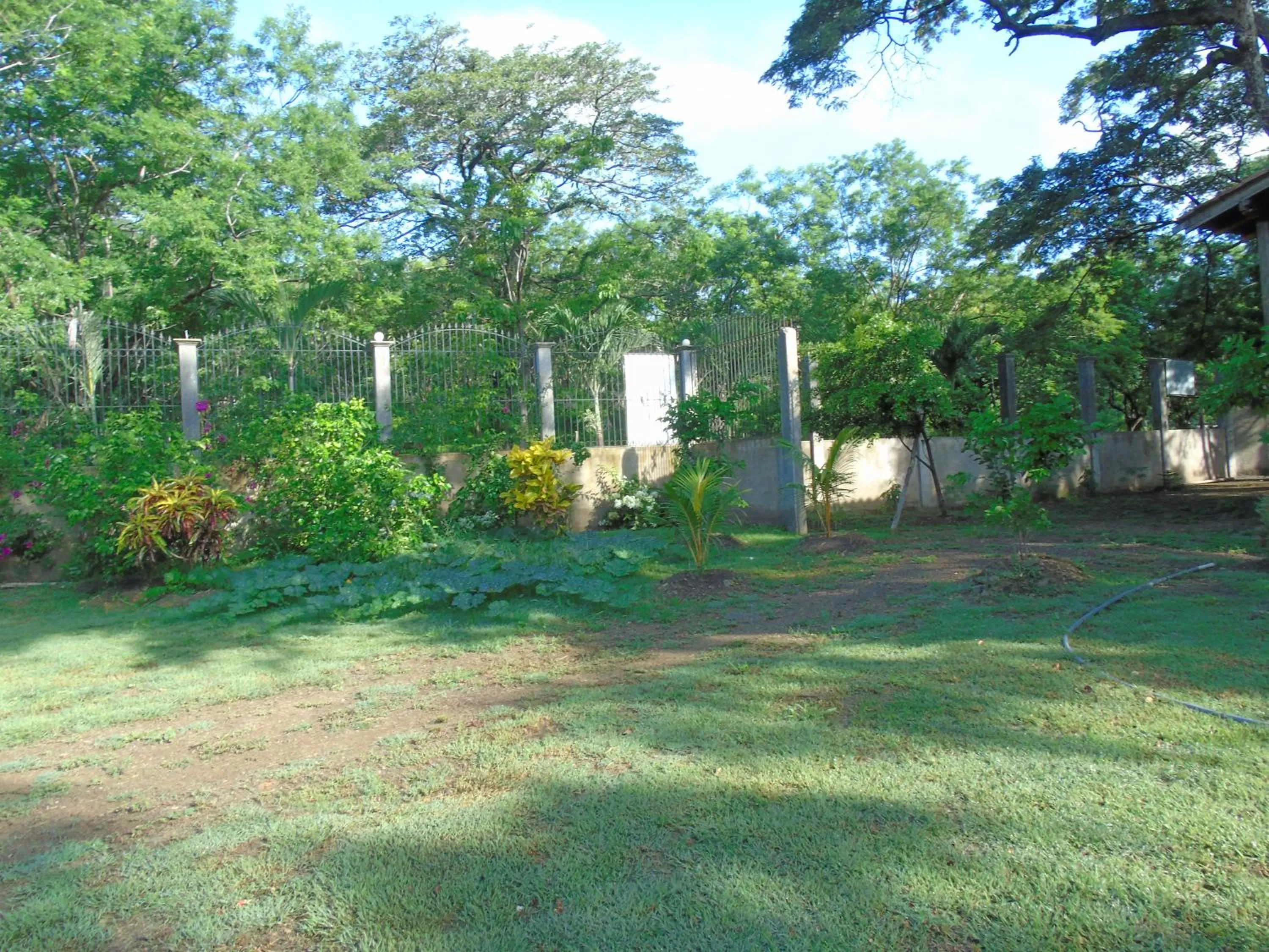Garden in Hostal Villas Mexico