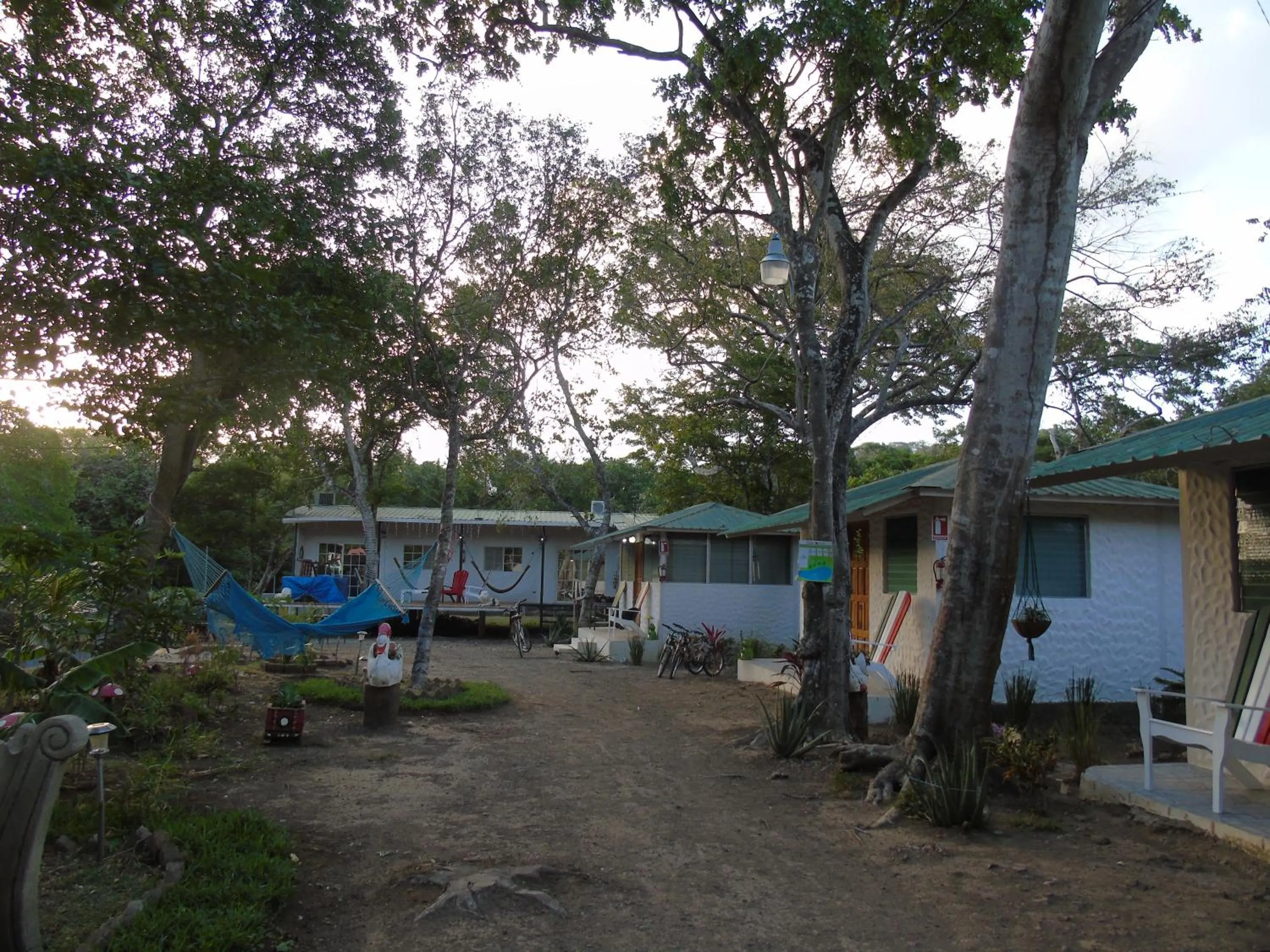 Garden in Hostal Villas Mexico