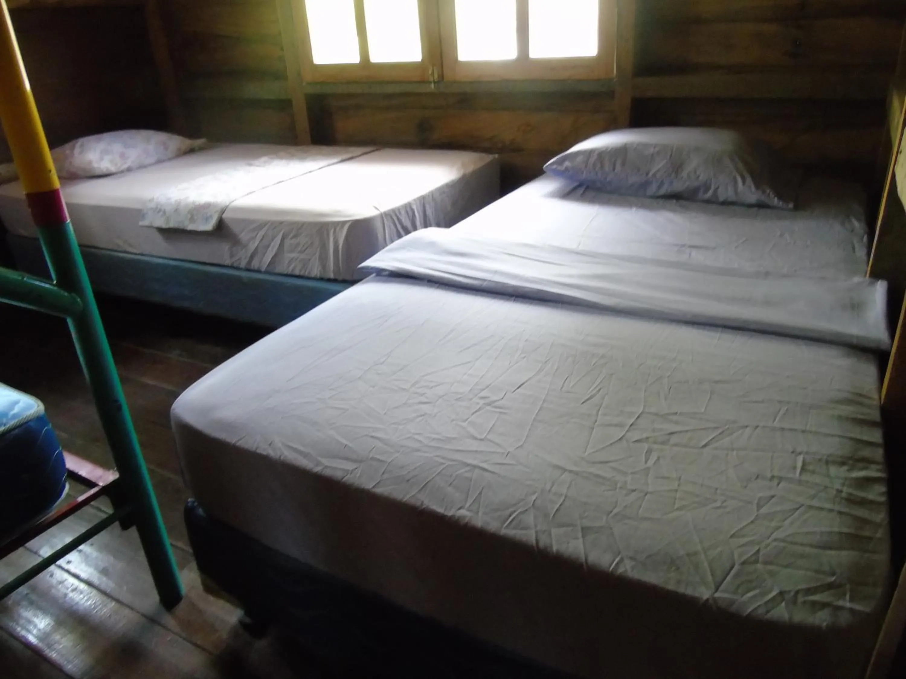 Staff, Bed in Hostal Villas Mexico