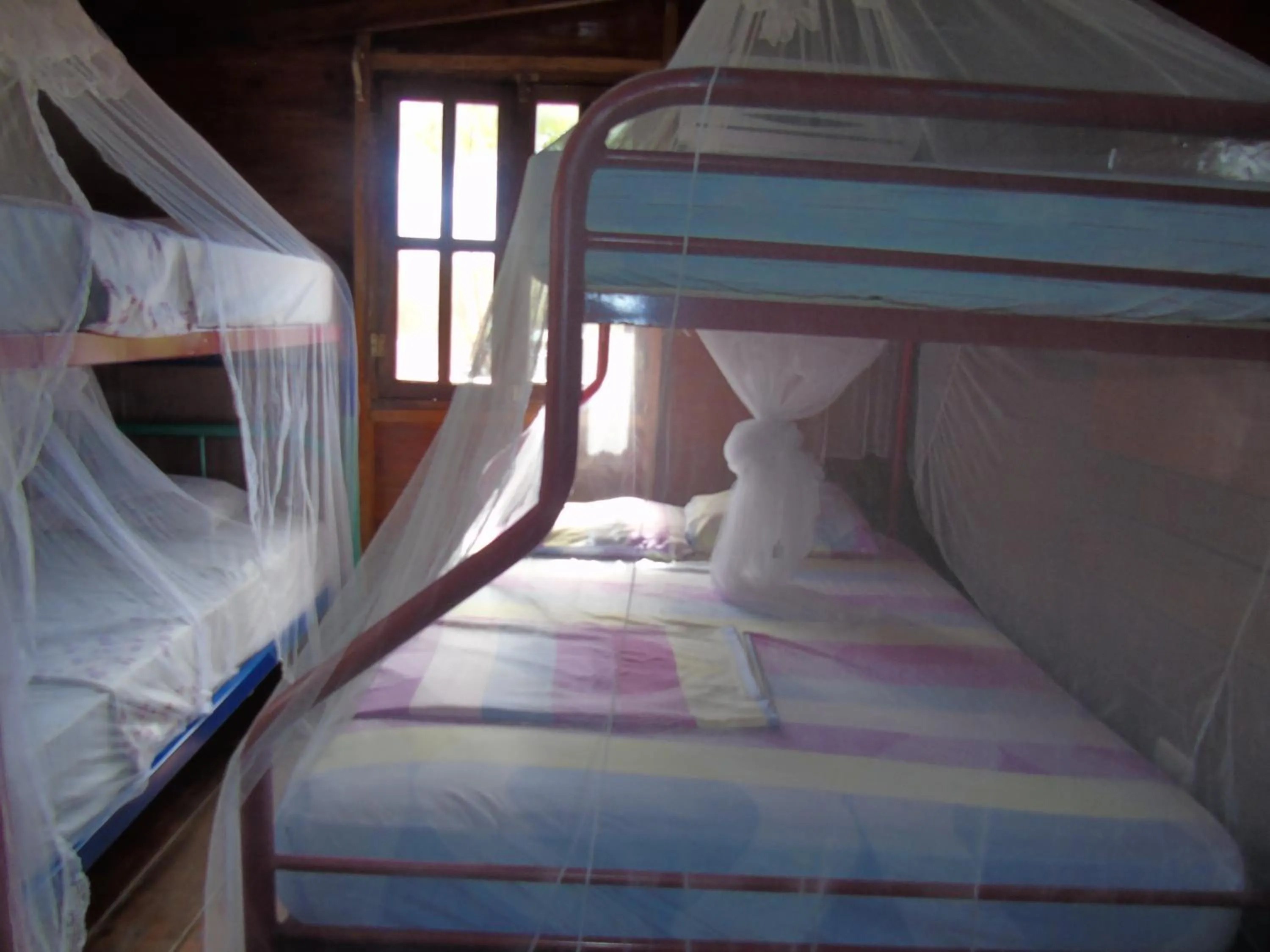 Bed in Hostal Villas Mexico