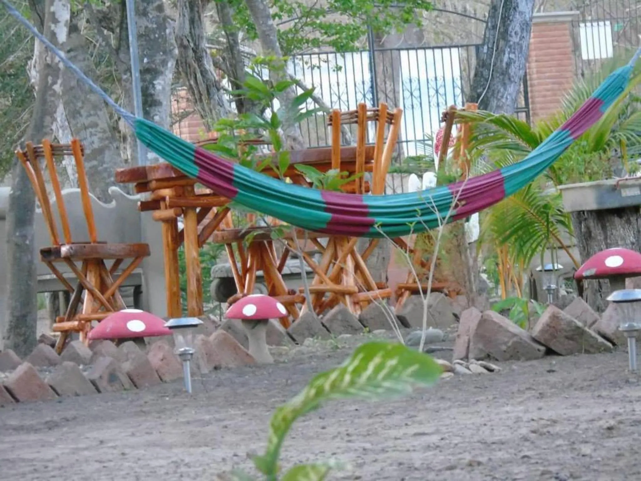 Garden in Hostal Villas Mexico