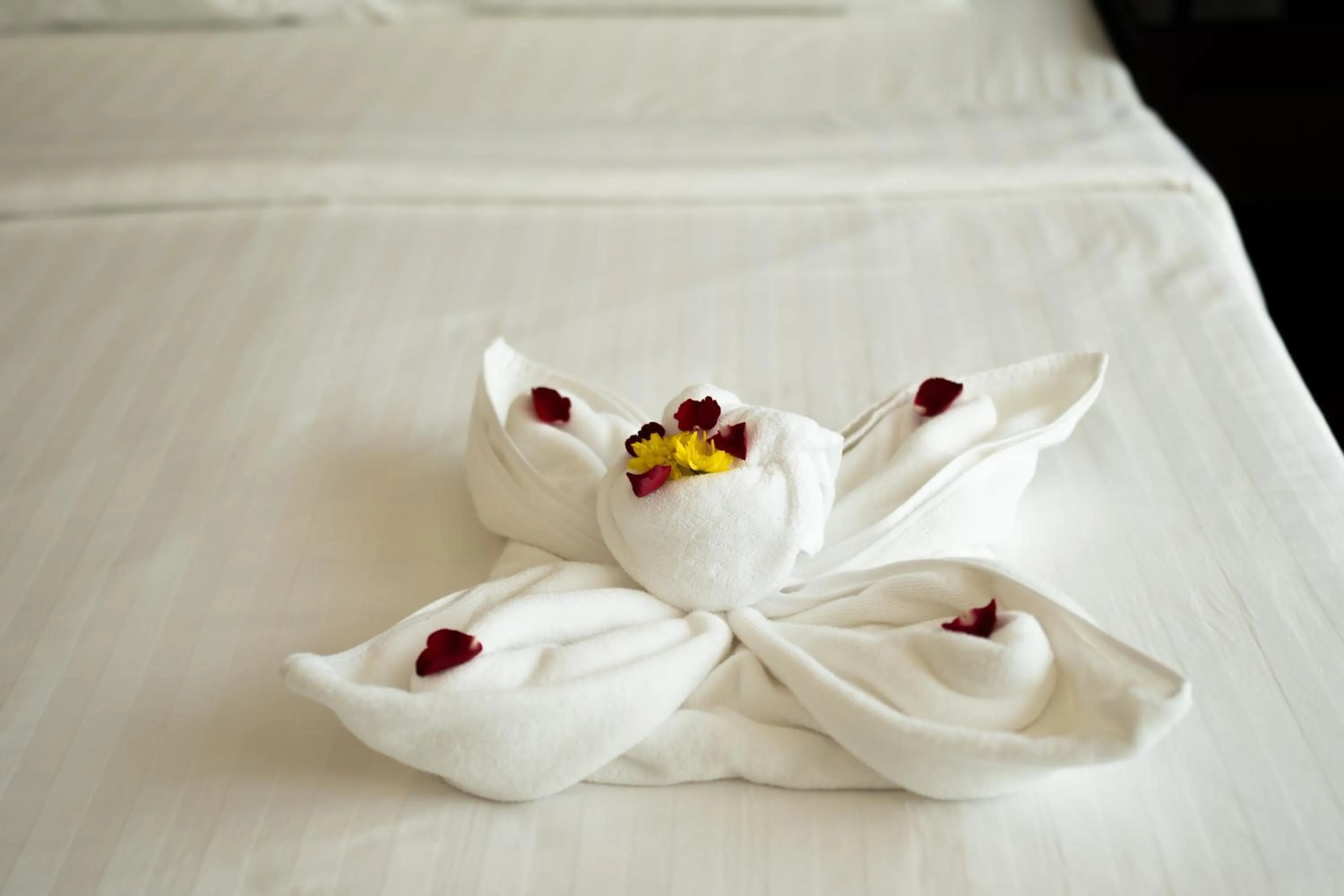 towels in Yenna Apartment