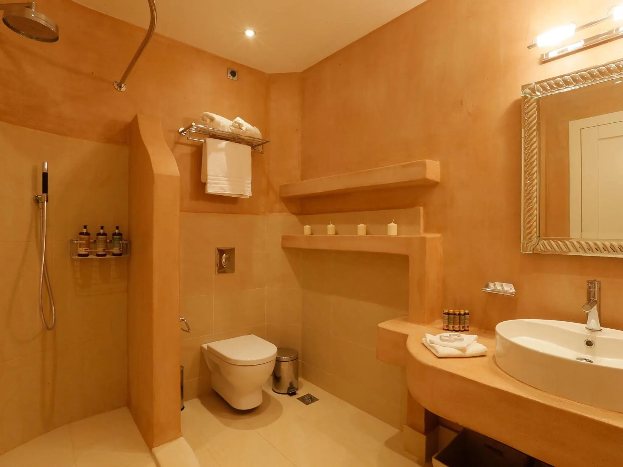 Shower in Pictures Suites