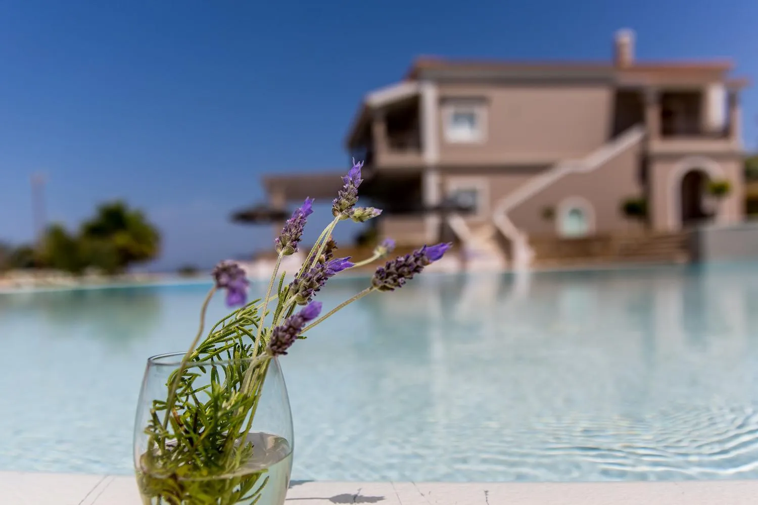 Swimming pool in Pictures Suites