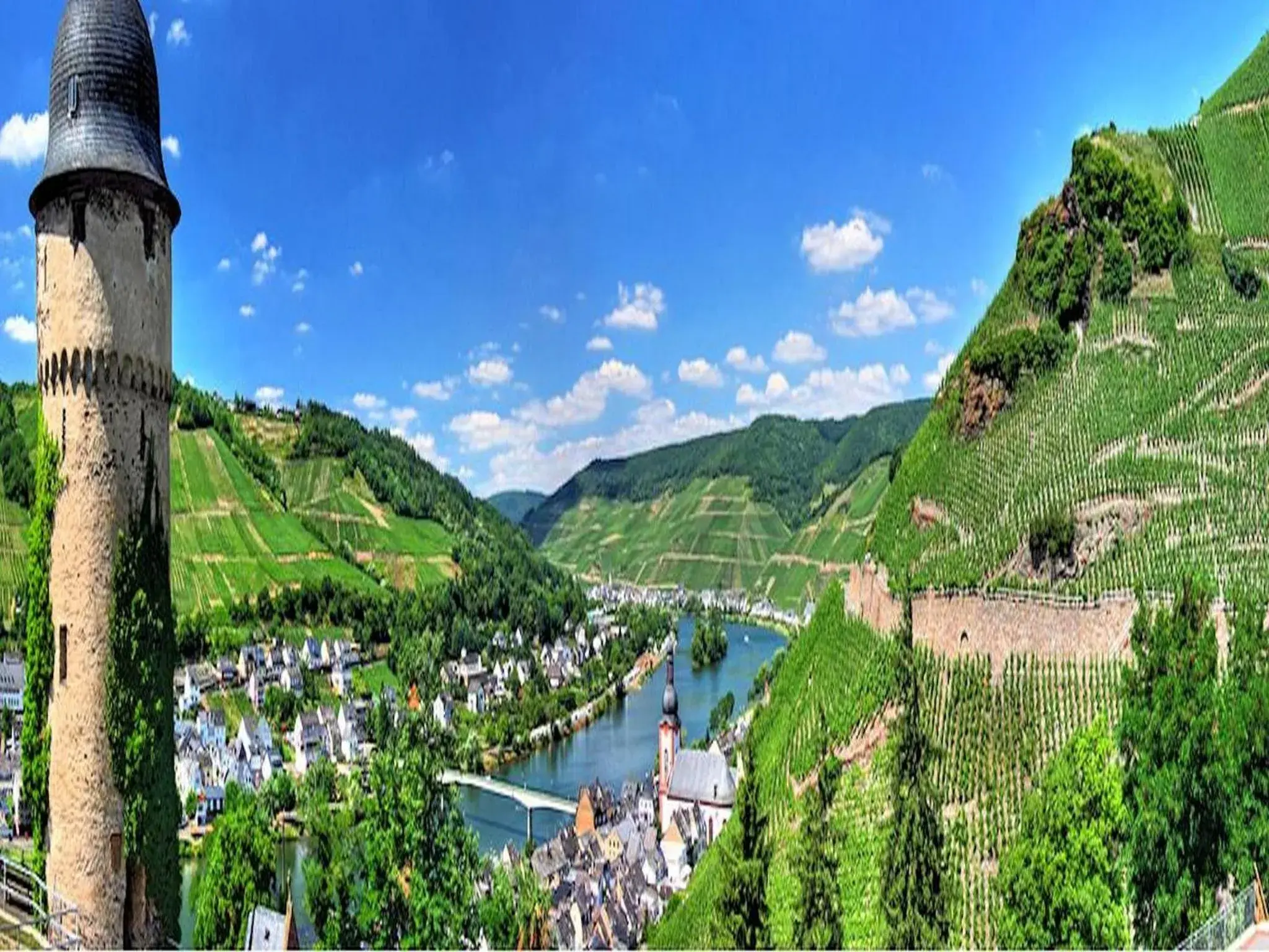 Other in Weincafé Korkenzieher Other in Weincafé Korkenzieher