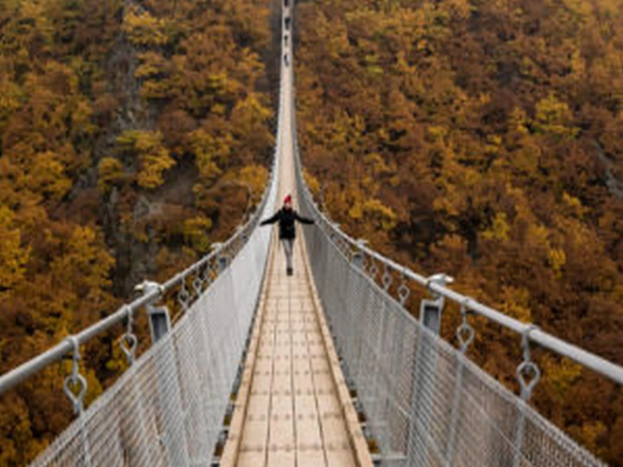 Other in Weincafé Korkenzieher