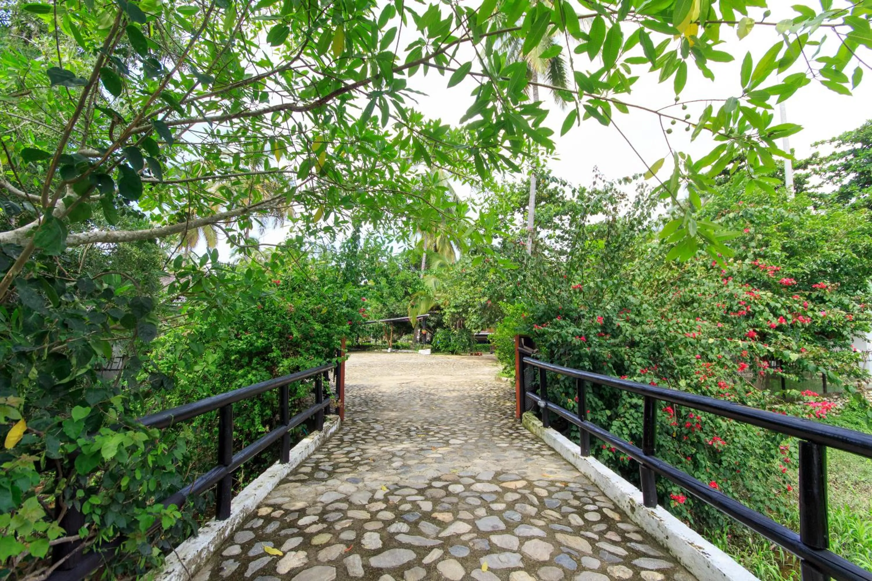 Garden in La Mar de Bien Tayrona