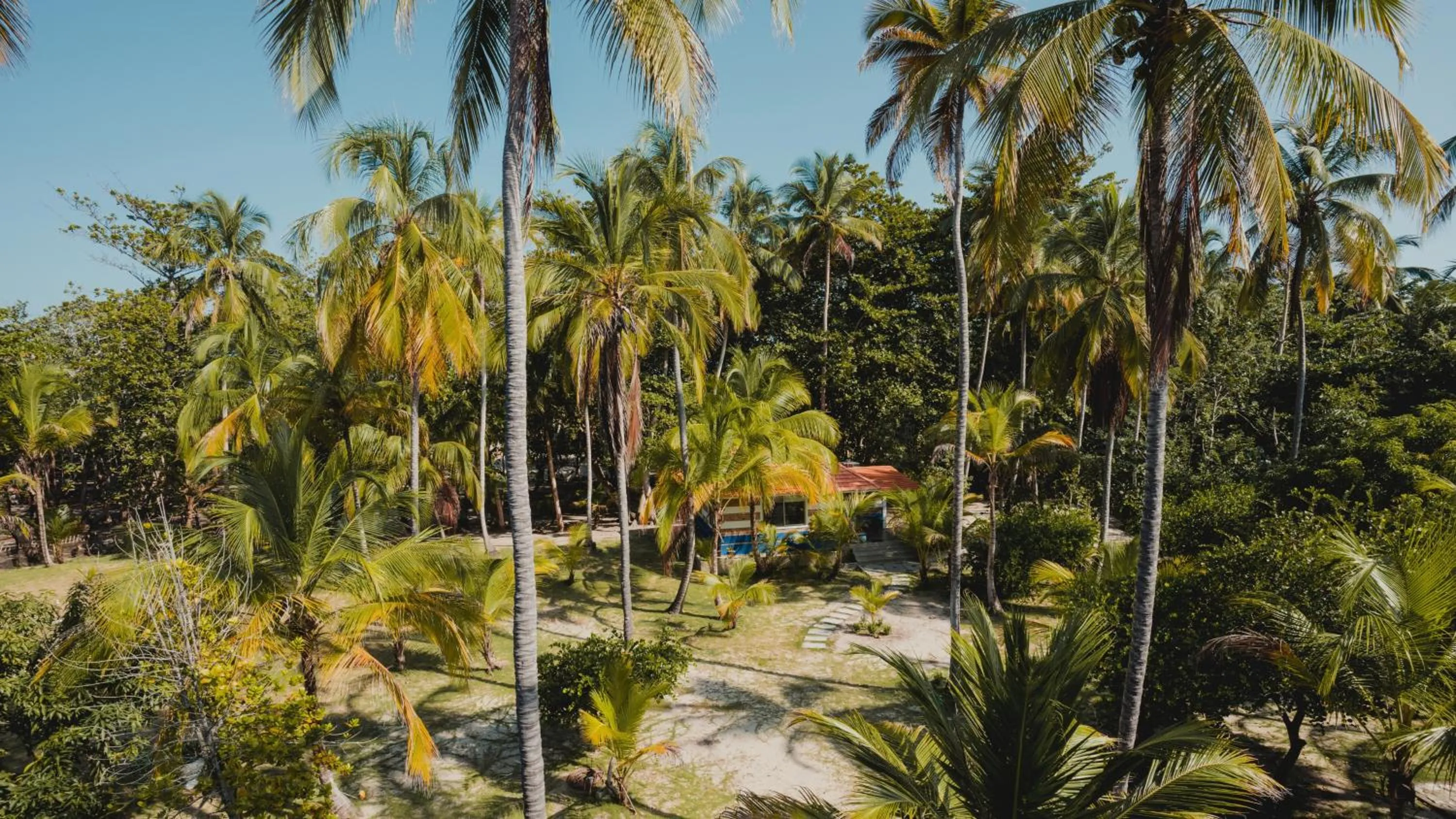 Garden view in La Mar de Bien Tayrona