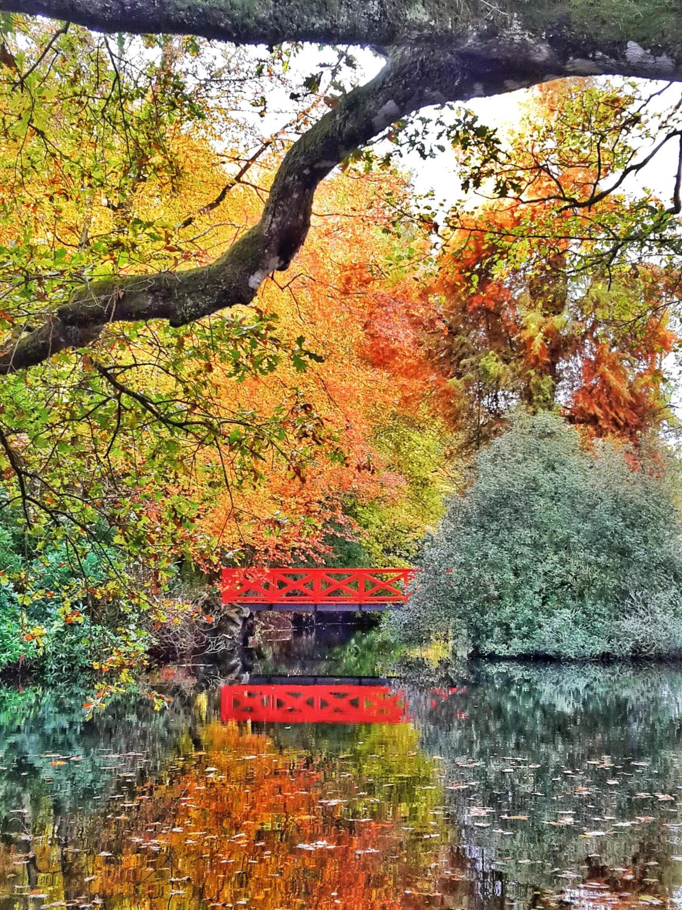 Garden in Château de Chantore