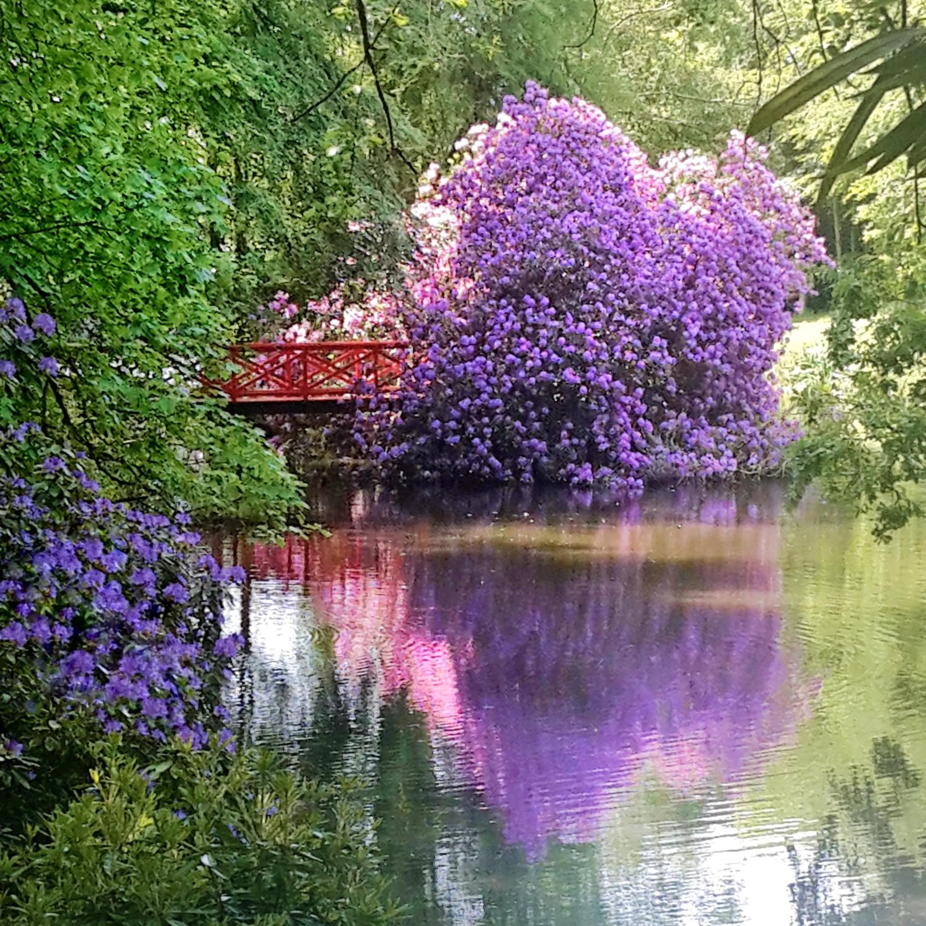 Garden in Château de Chantore
