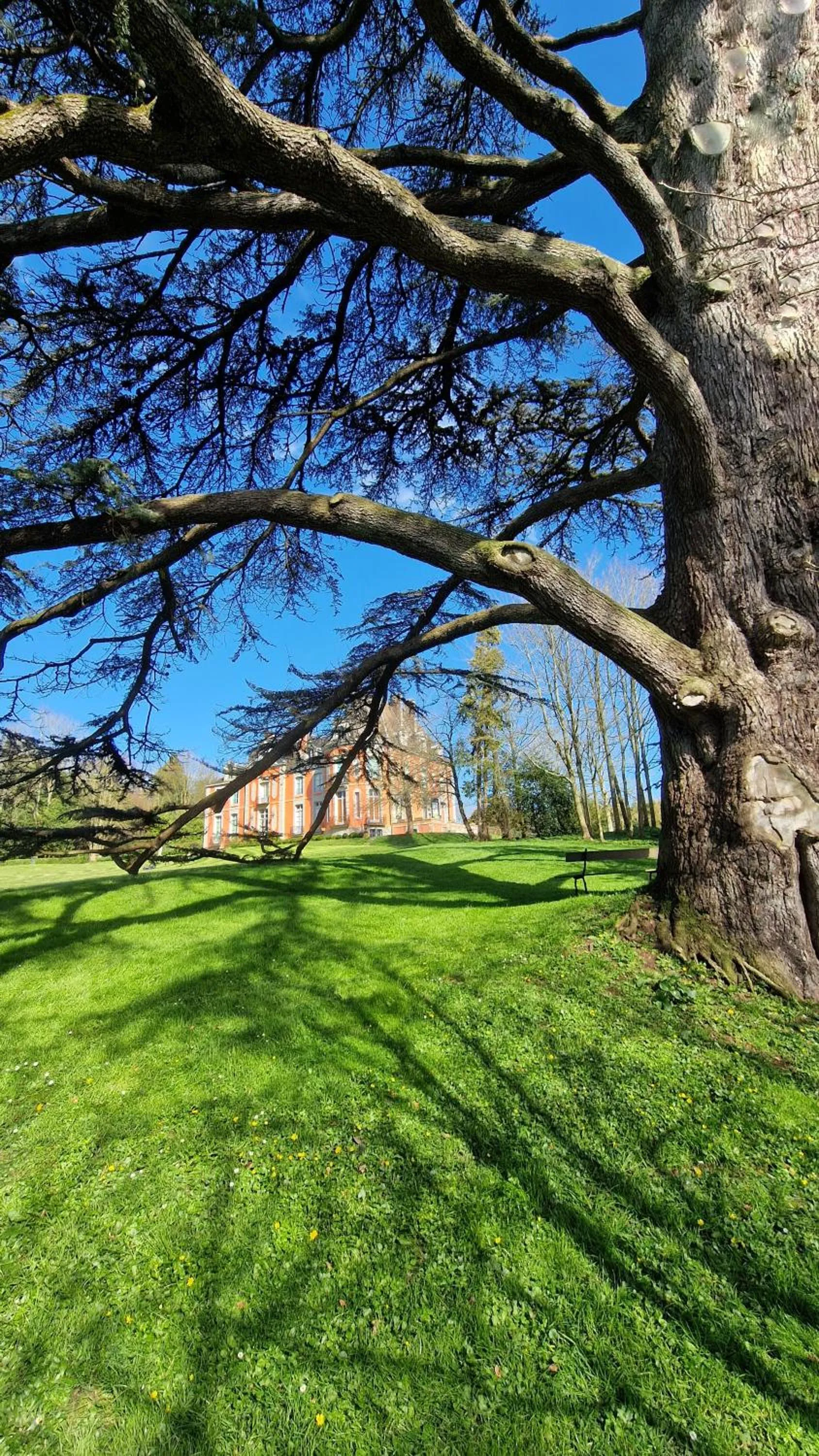 Garden in Château de Chantore