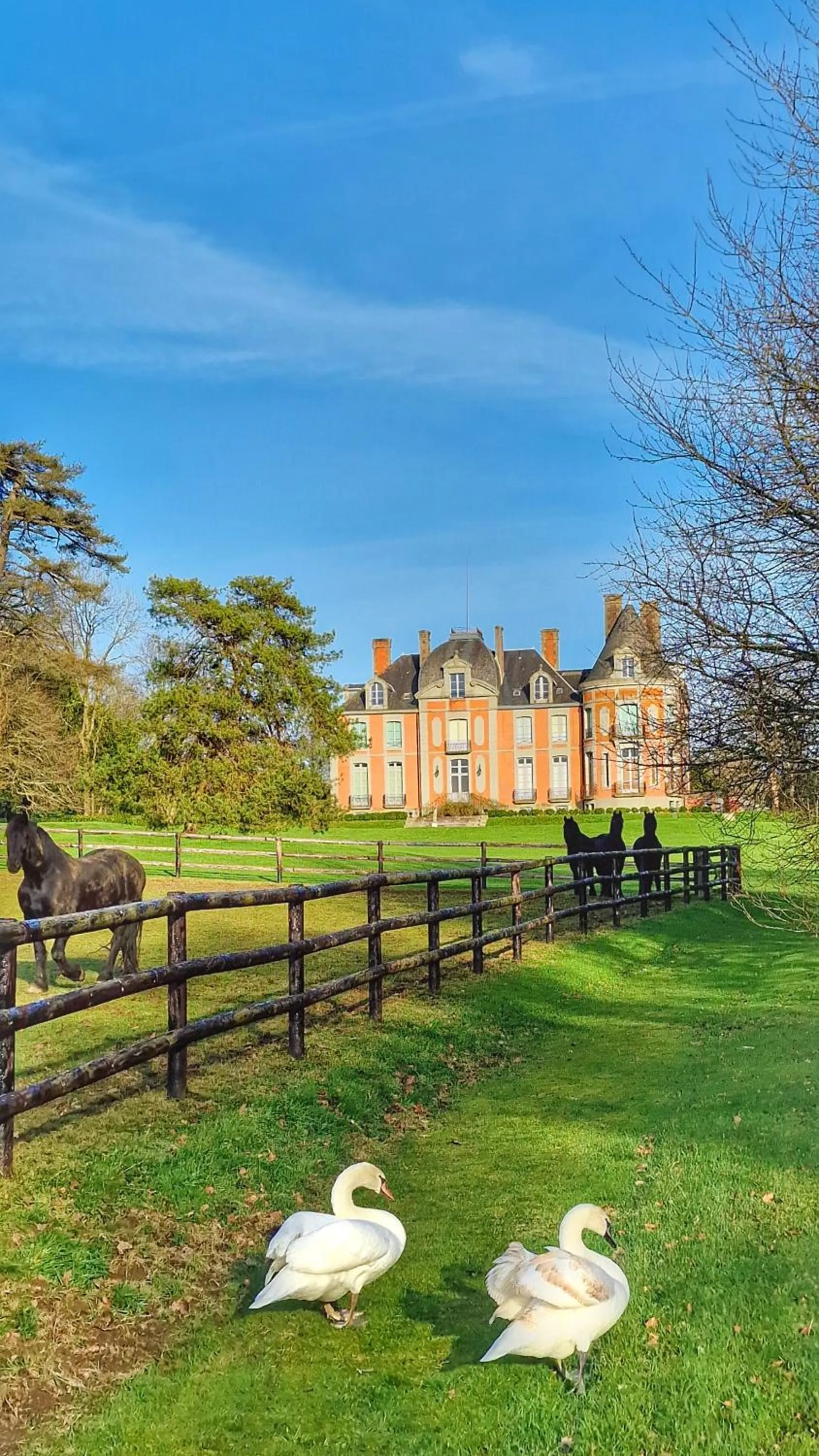 Garden in Château de Chantore