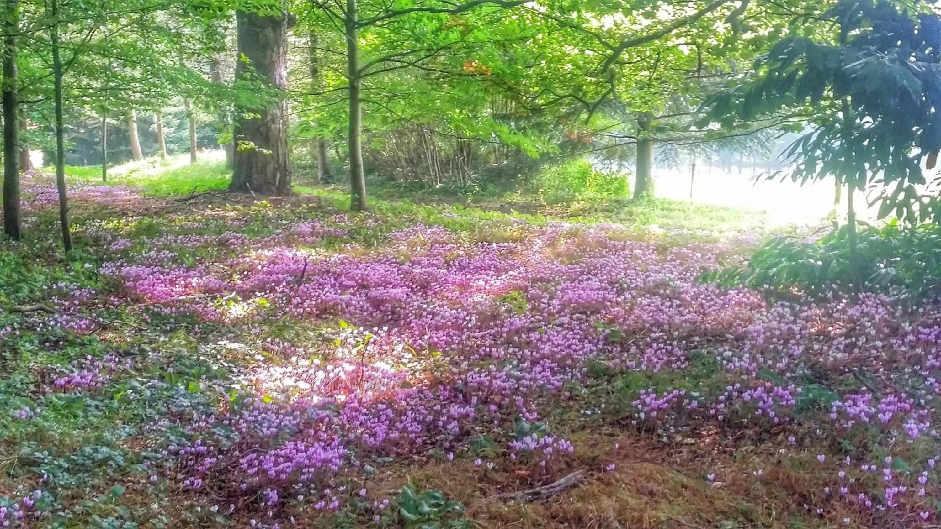 Day in Château de Chantore