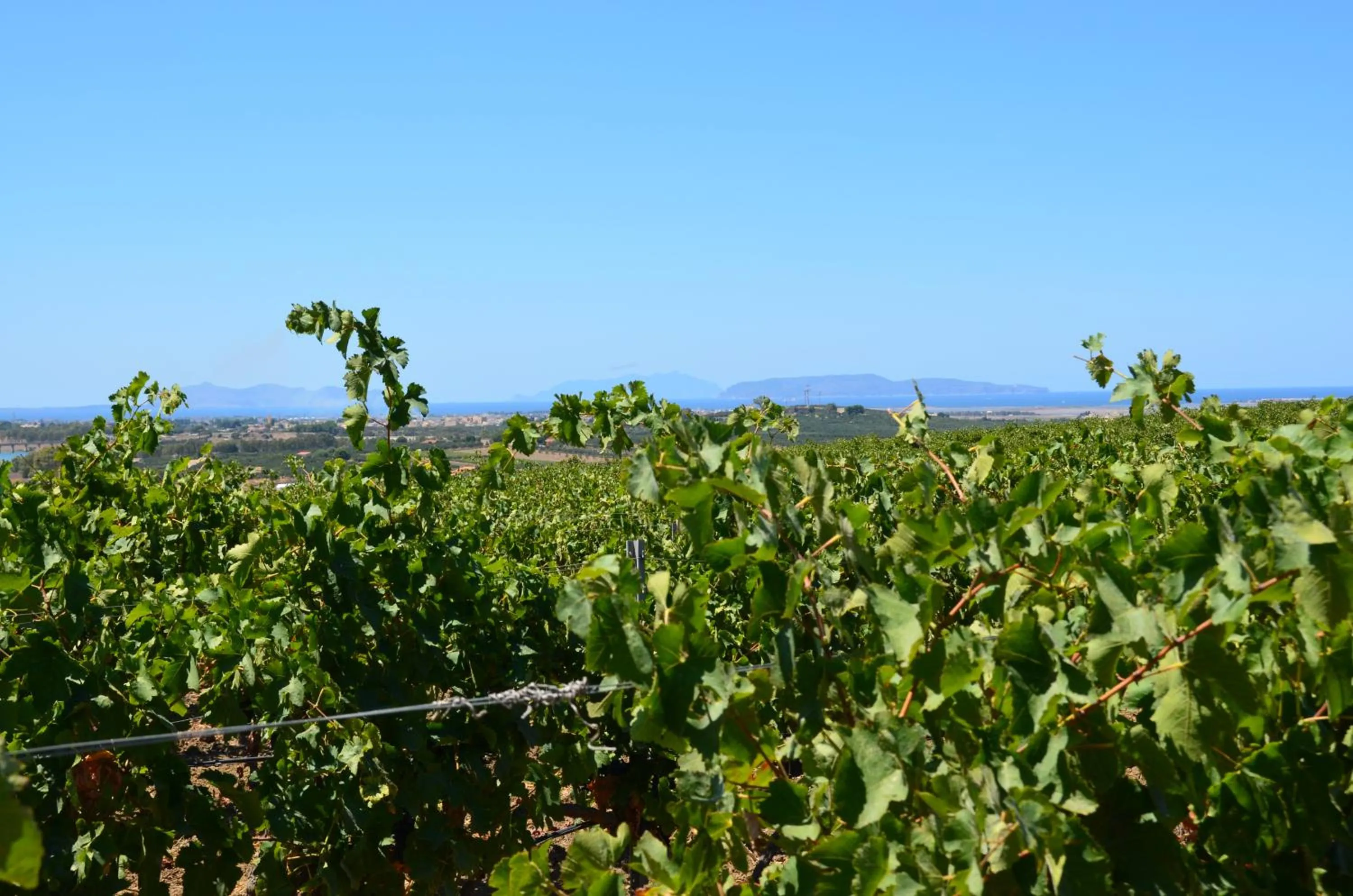 Business facilities in Firriato Hospitality - Baglio Sorìa