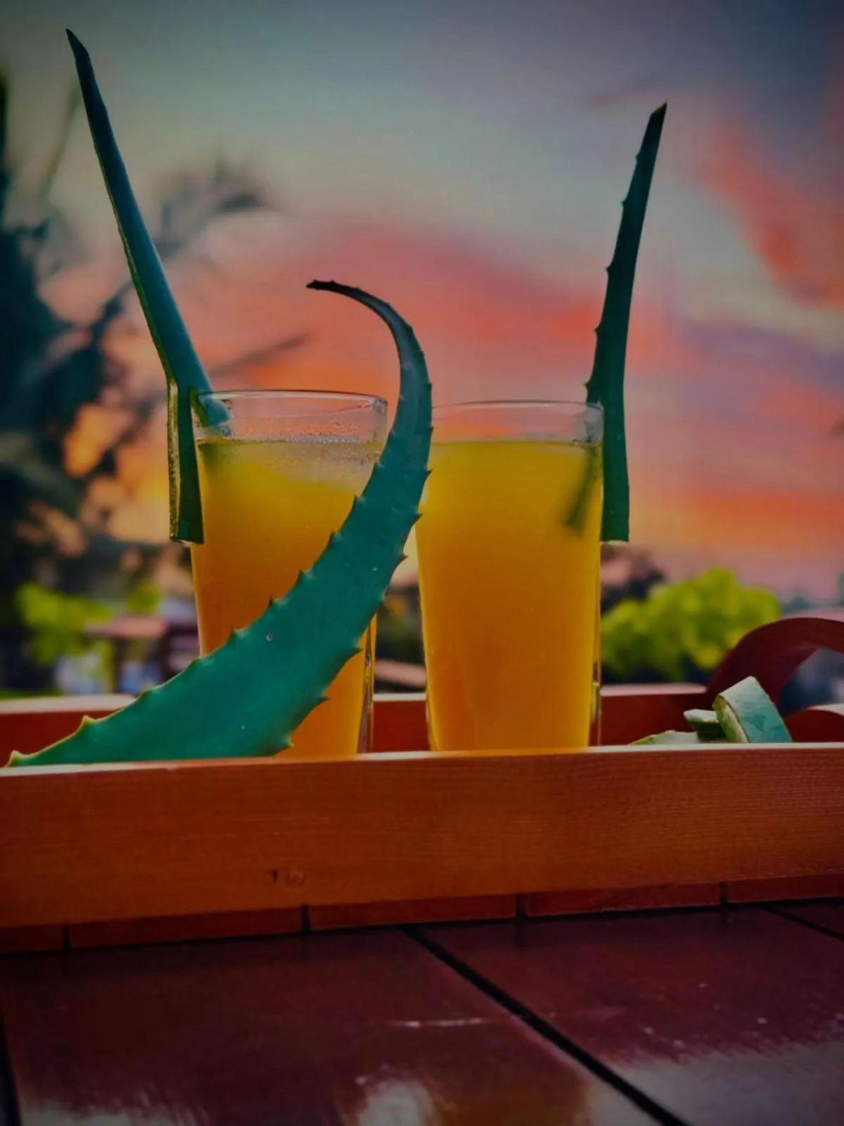 Food and drinks in Aloe Transit Hotel