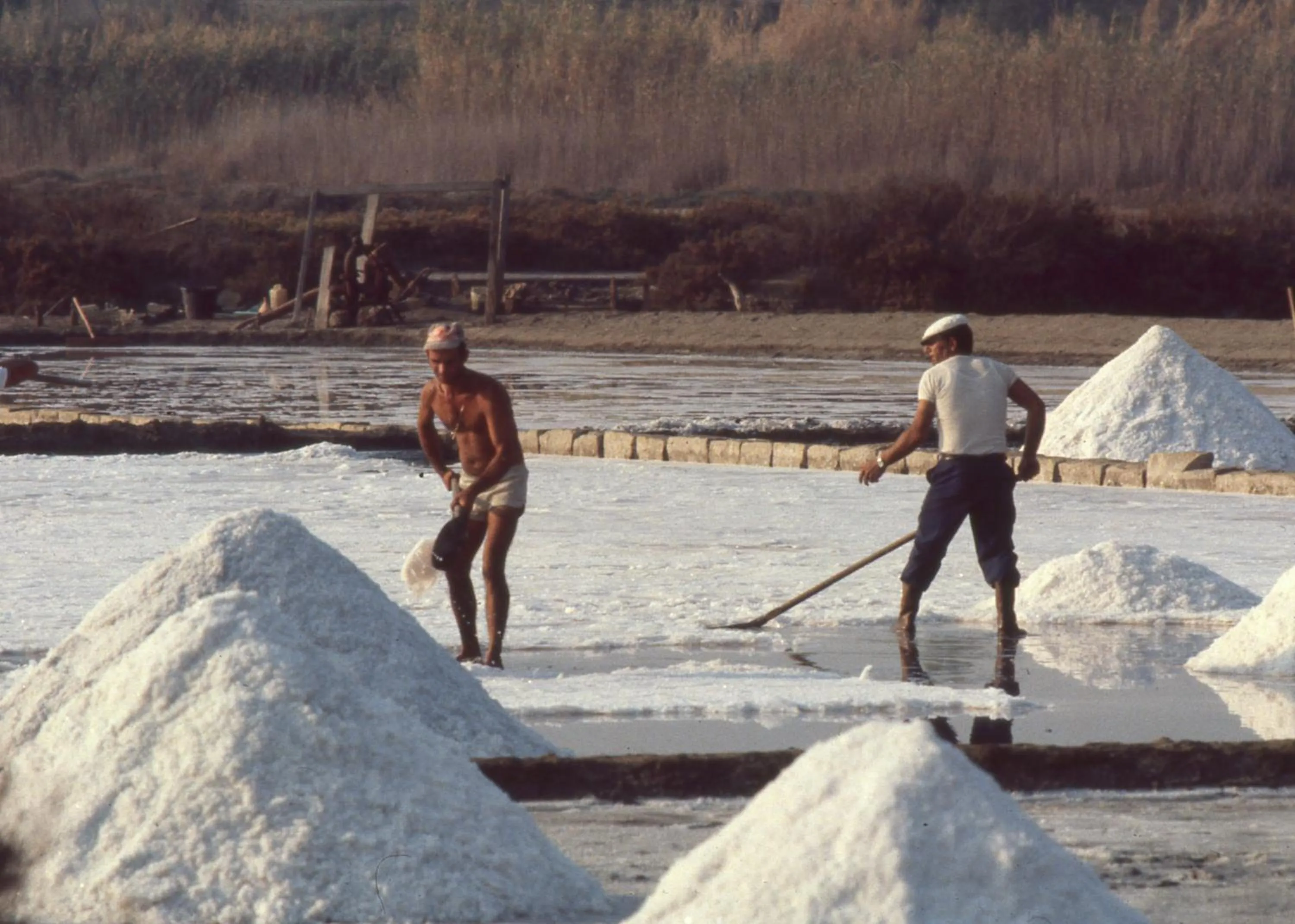 Other in B&B Le Saline