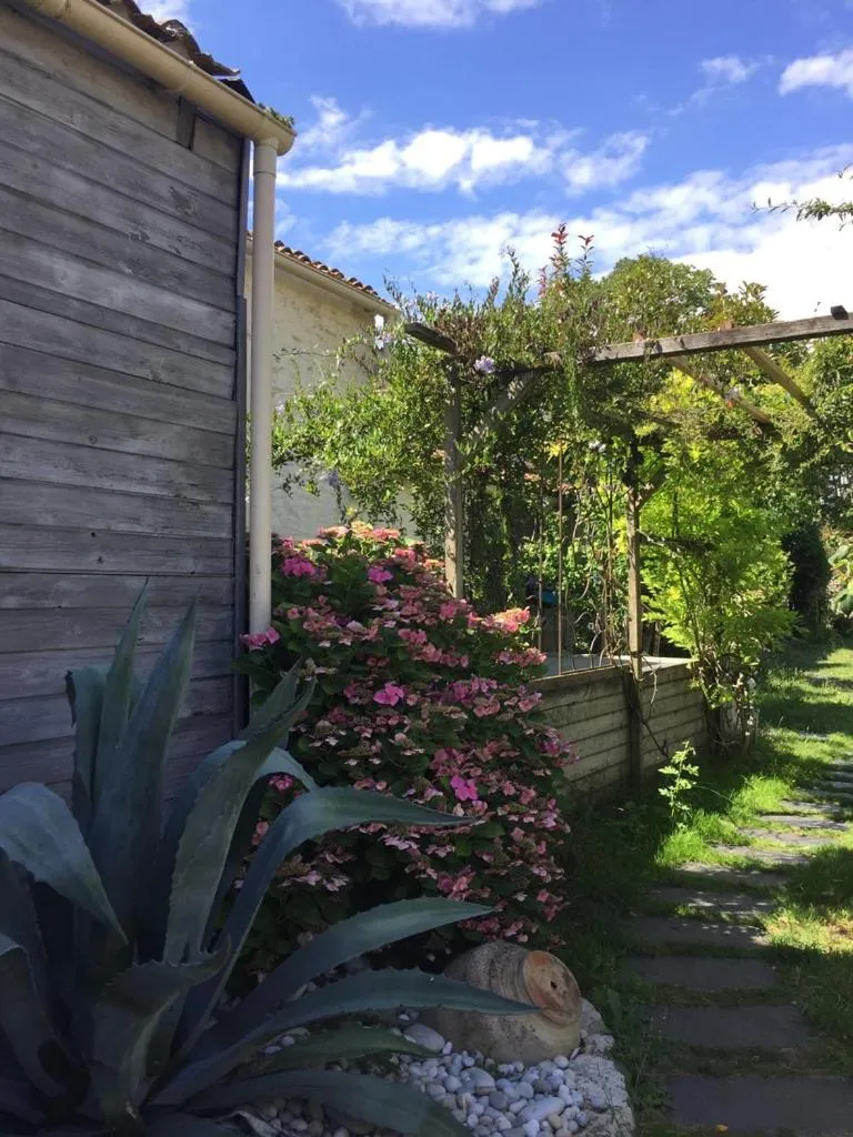 Garden in Accacia Home