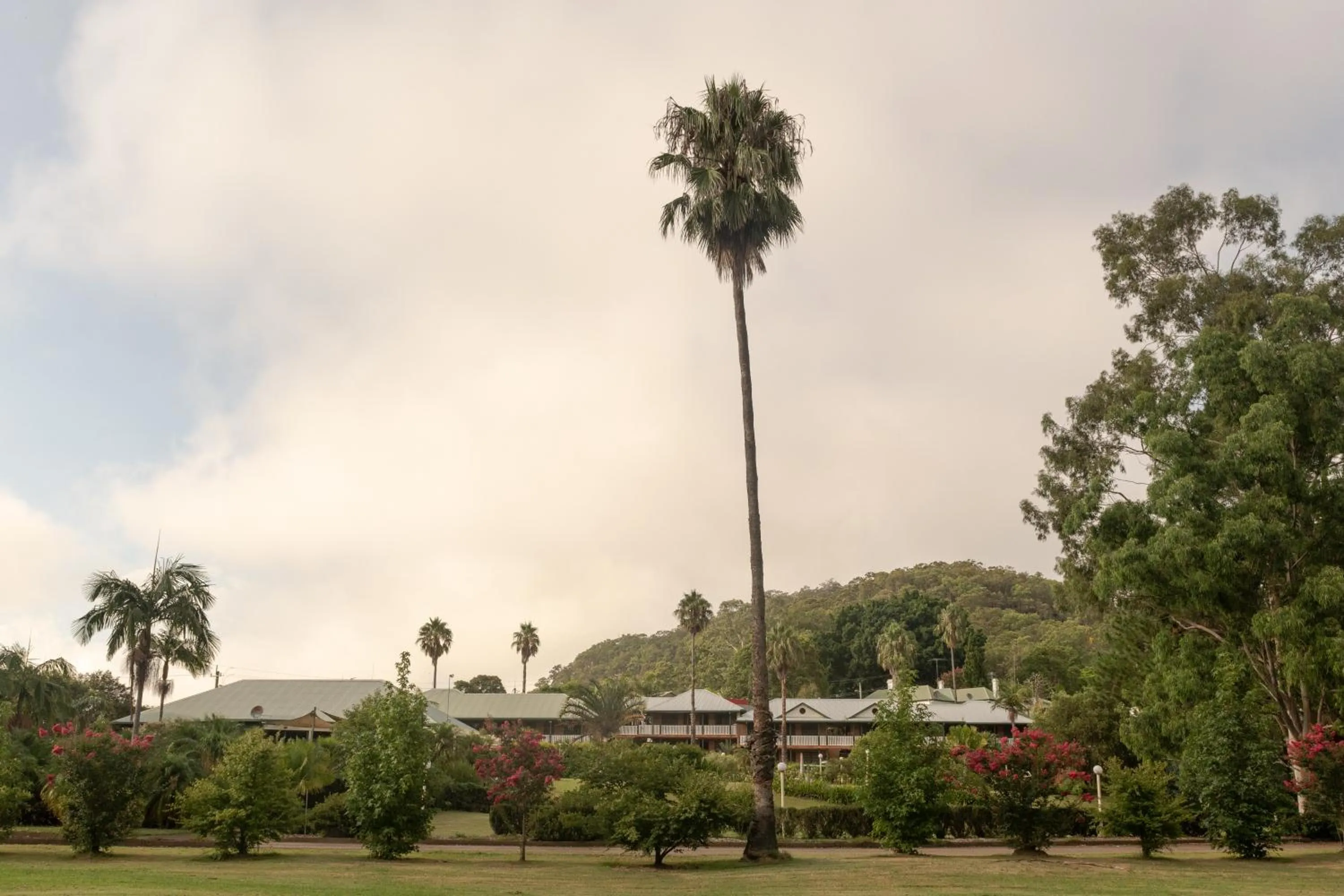 Natural landscape in Wisemans Retreat