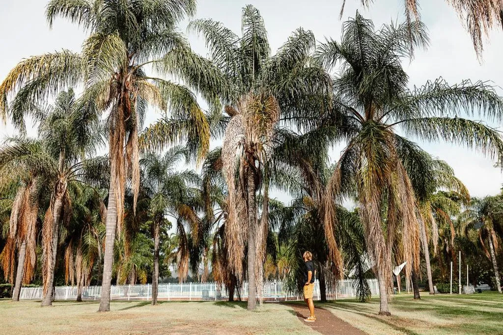 Swimming pool in Wisemans Retreat