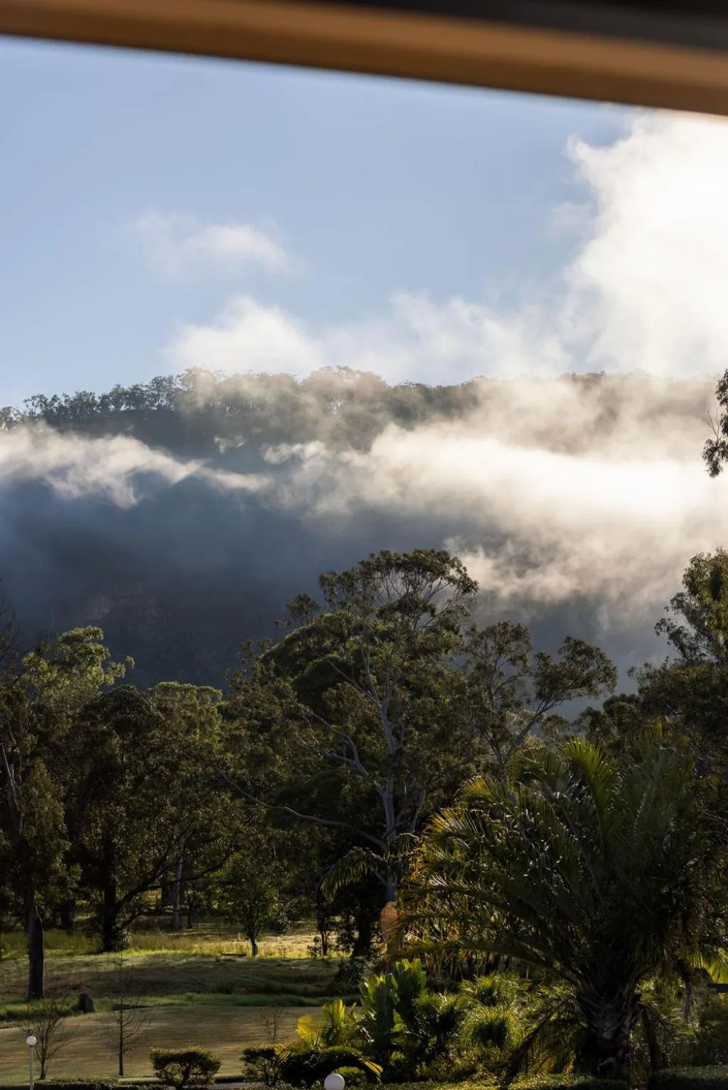 Natural landscape in Wisemans Retreat