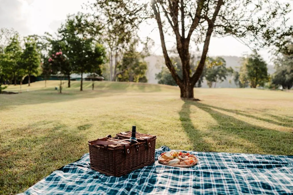 Natural landscape in Wisemans Retreat