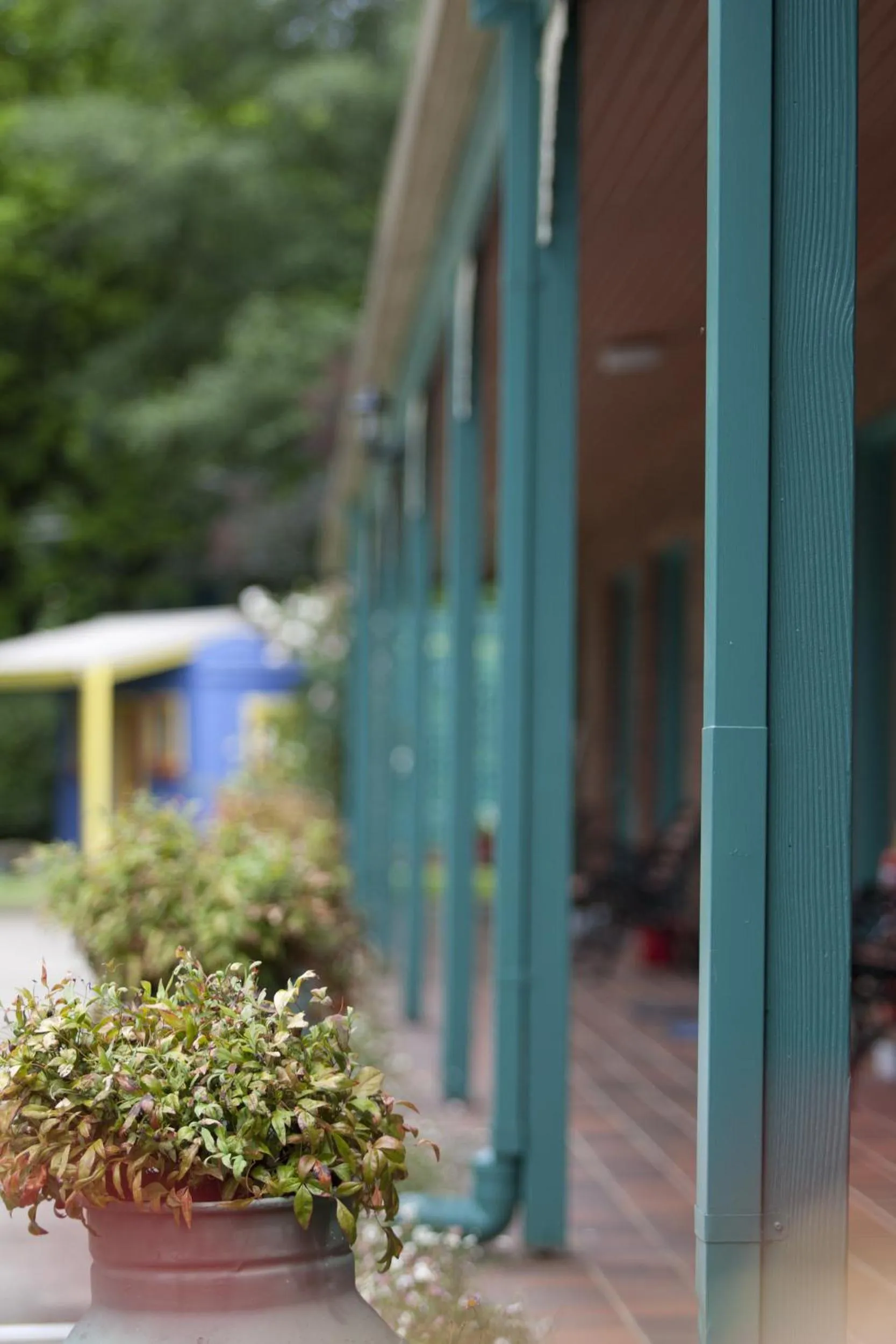 Other in Snowgum Motel