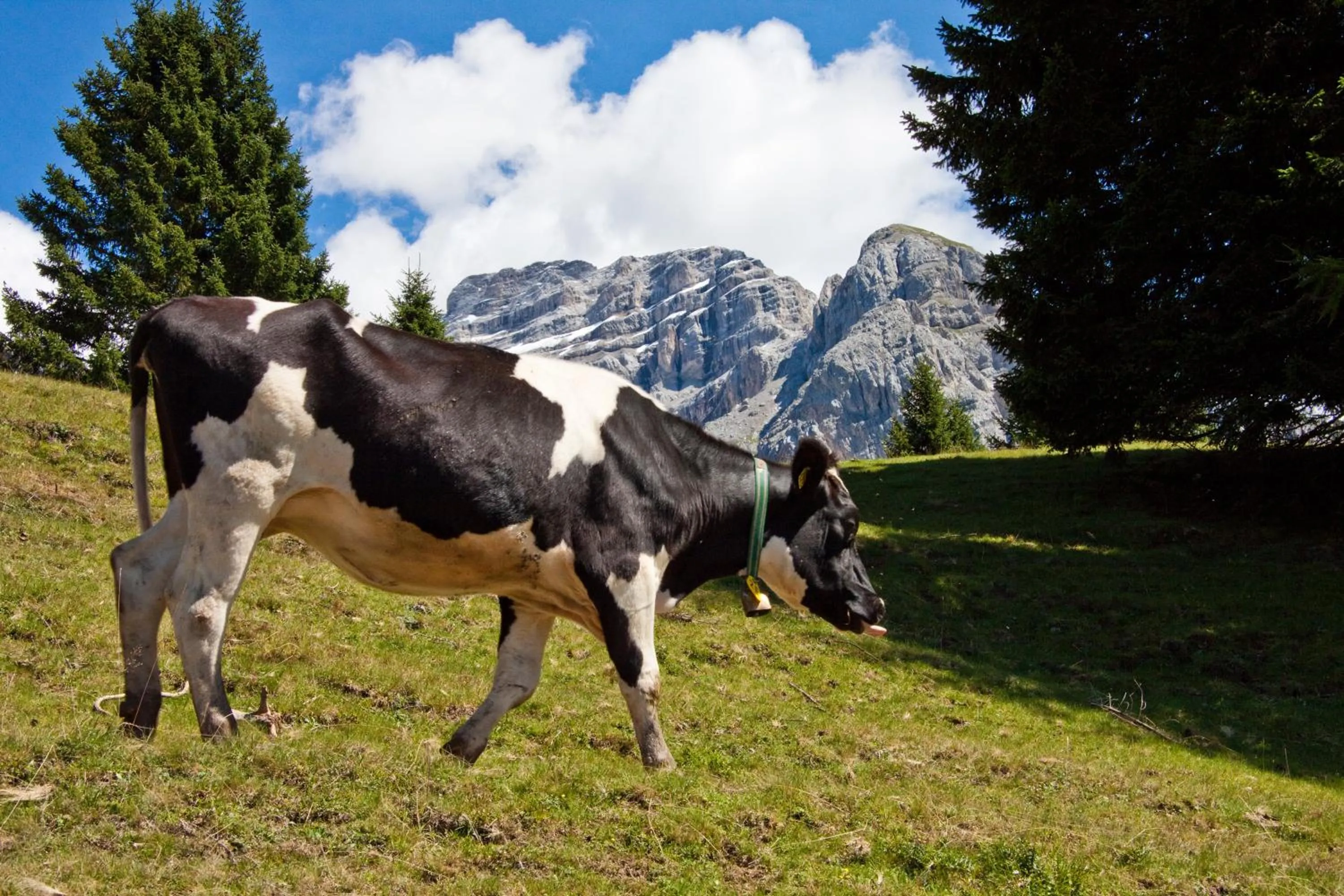 Natural landscape in Hotel Arcobaleno