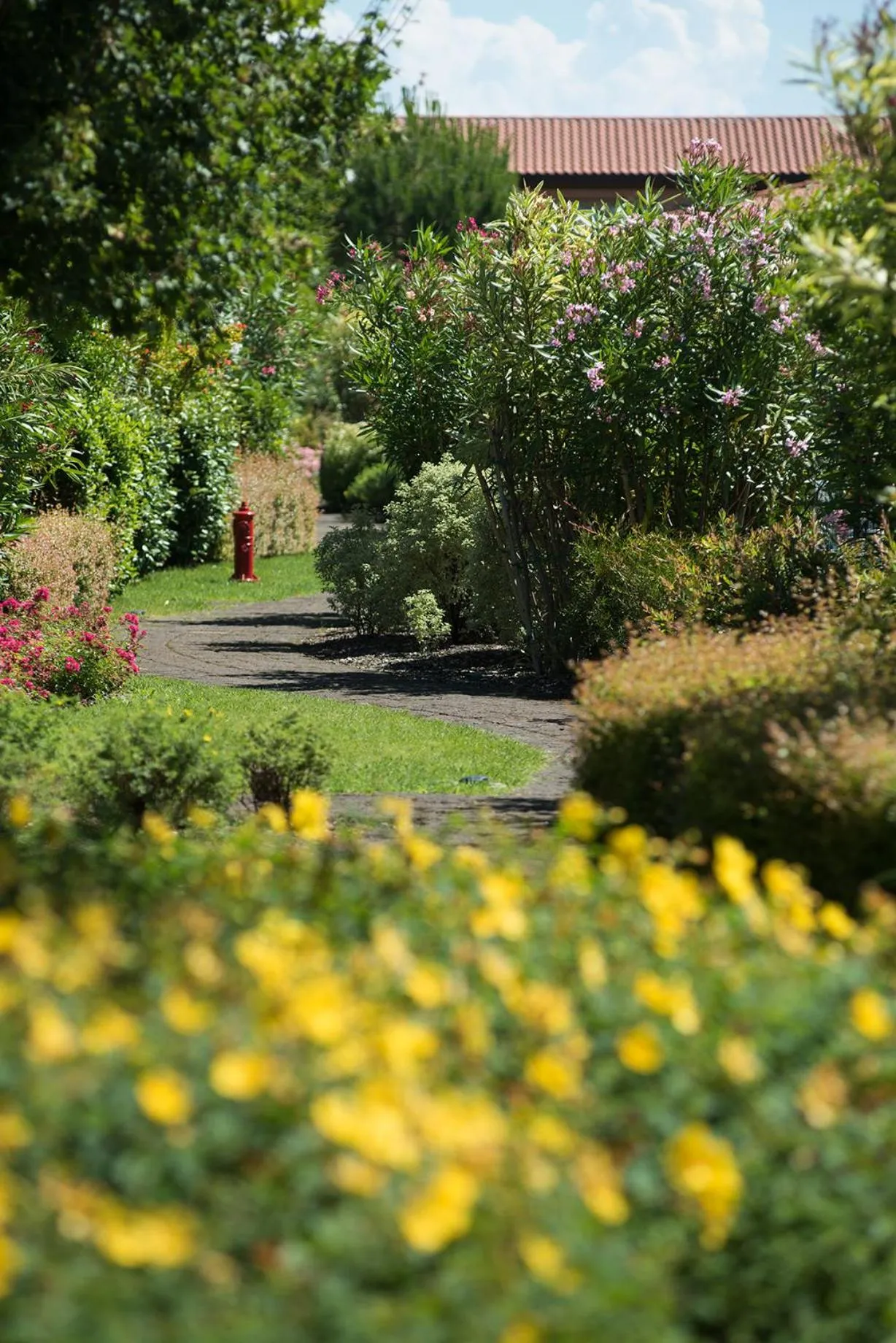 Garden in Green Village Eco Resort