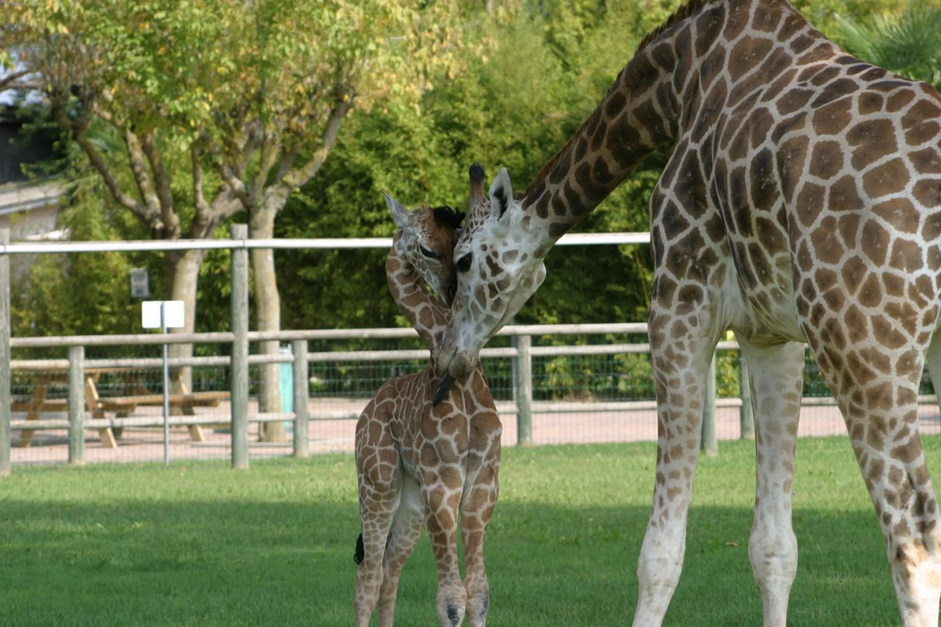 Nearby landmark in Green Village Eco Resort