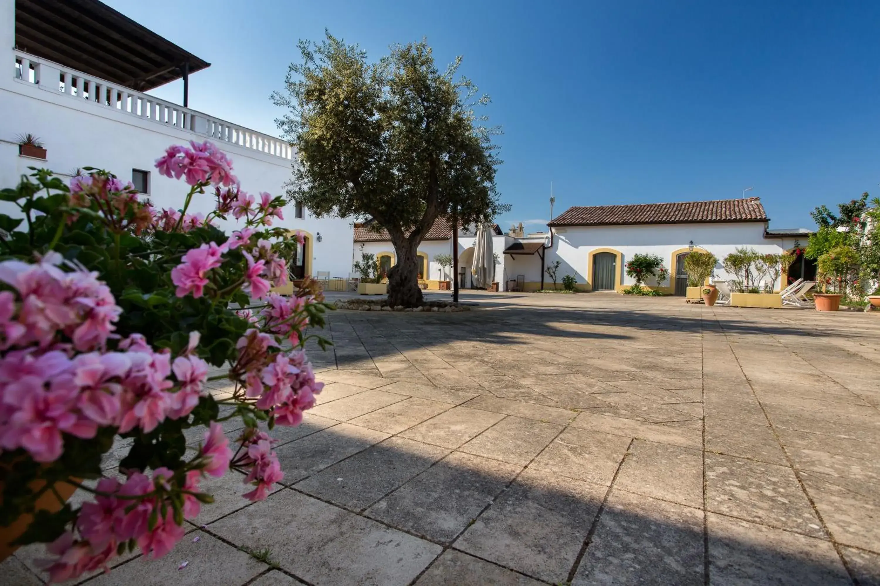 Facade/entrance in Tenuta del Barco WineRestaurant and Hospitality Facade/entrance in Tenuta del Barco WineRestaurant and Hospitality
