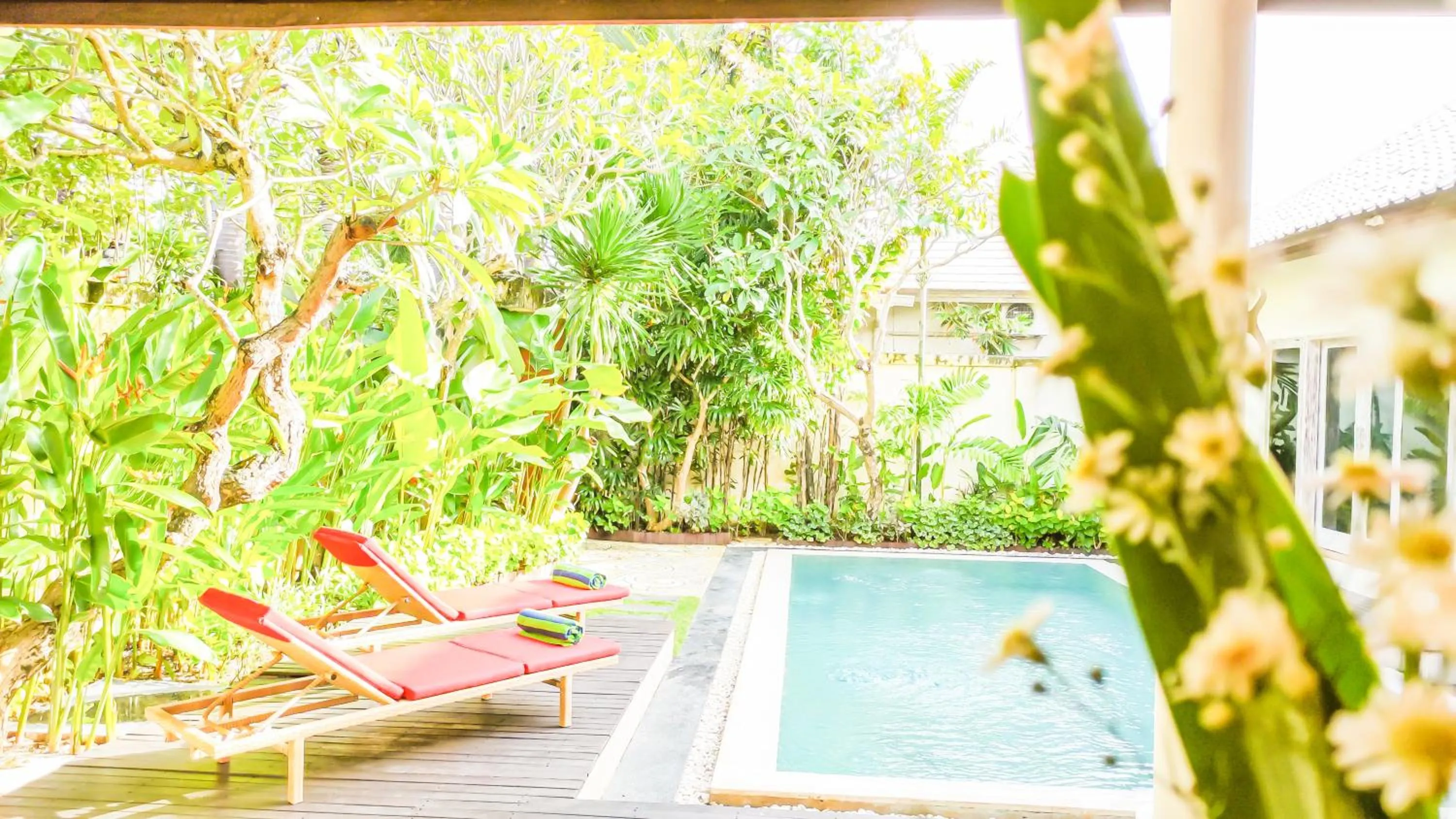 Natural landscape in Seminyak Square Hotel And Villas