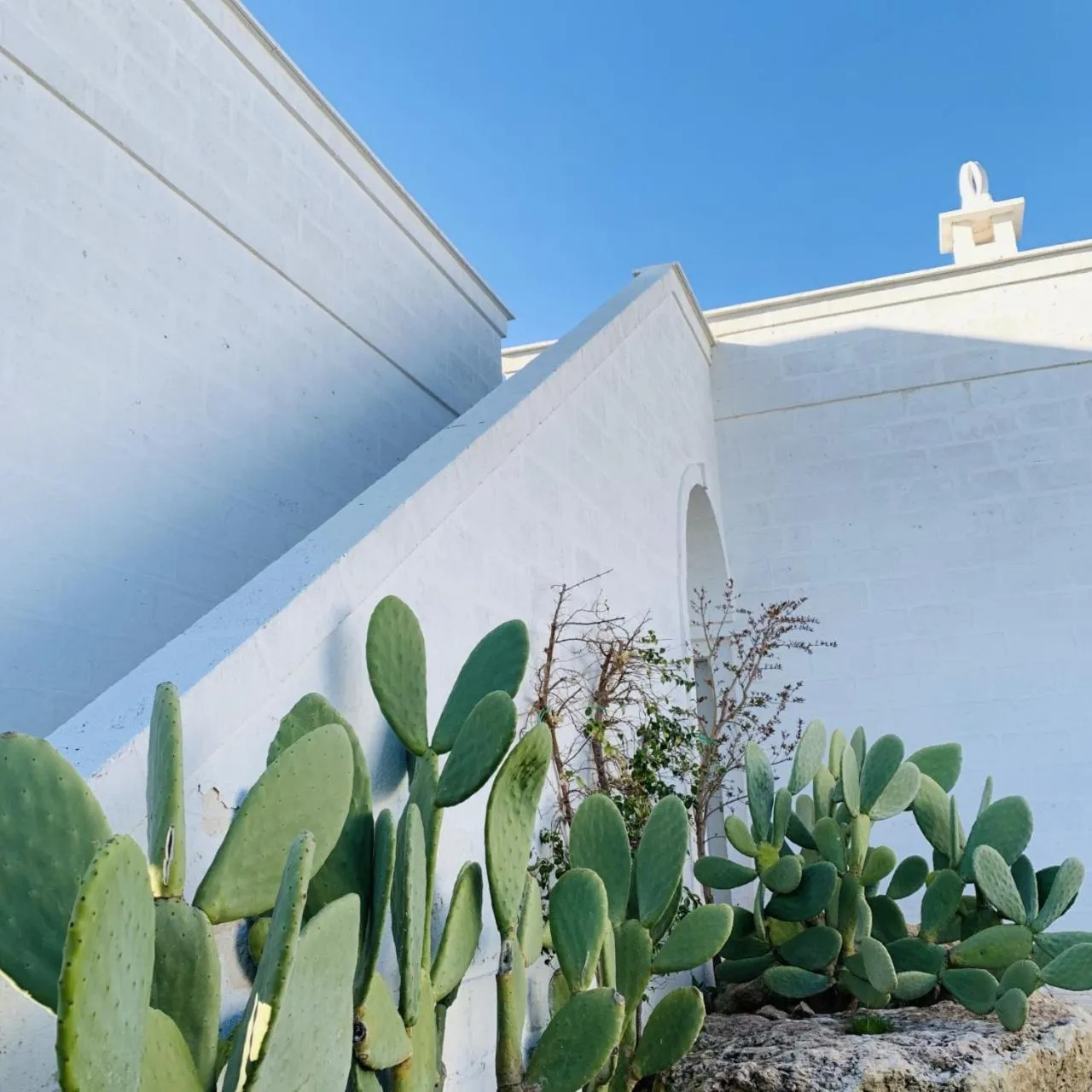 Bird's eye view in Masseria San Francesco