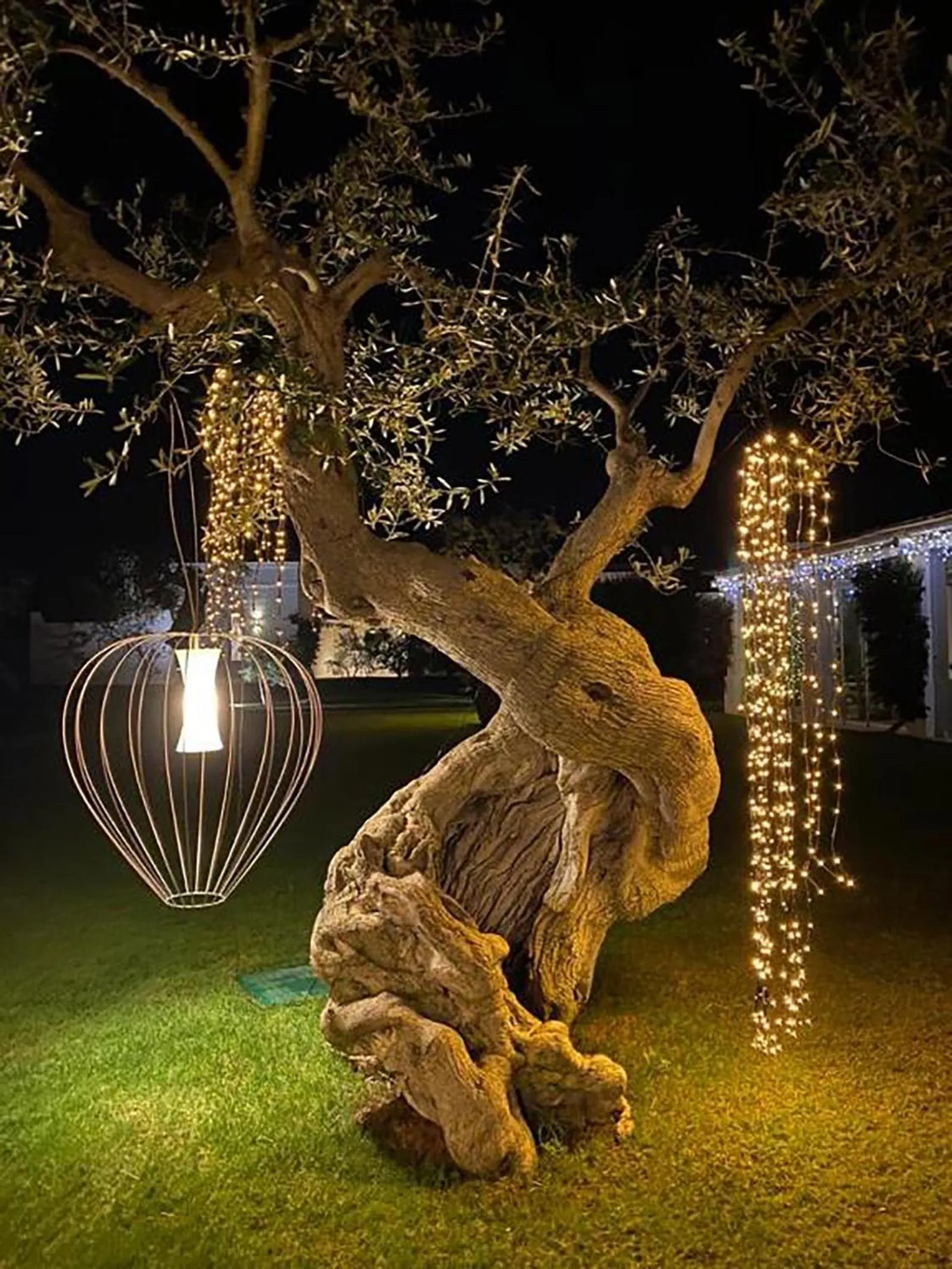 Garden in Masseria San Francesco