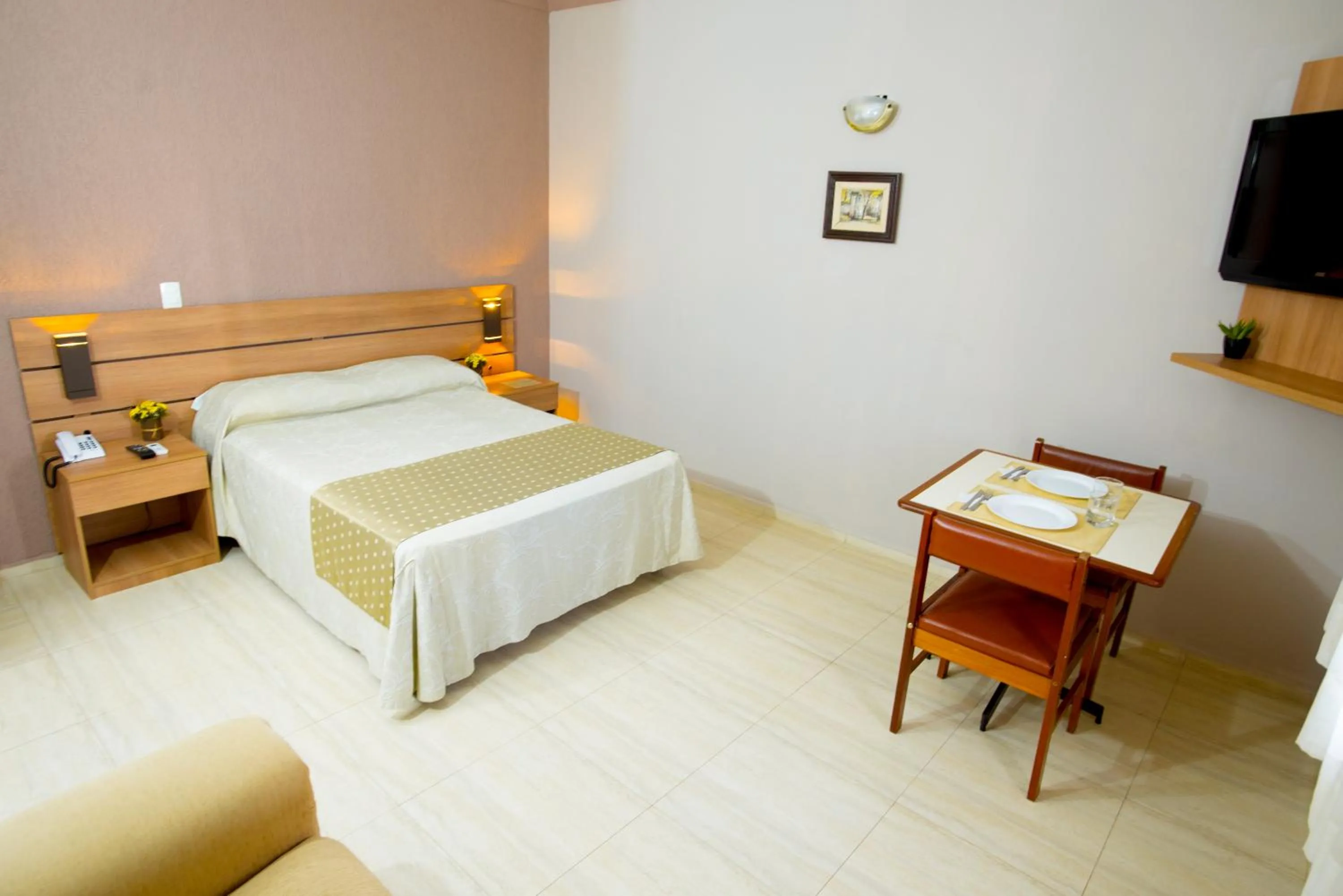 Double Room - single occupancy in Hotel Iporã