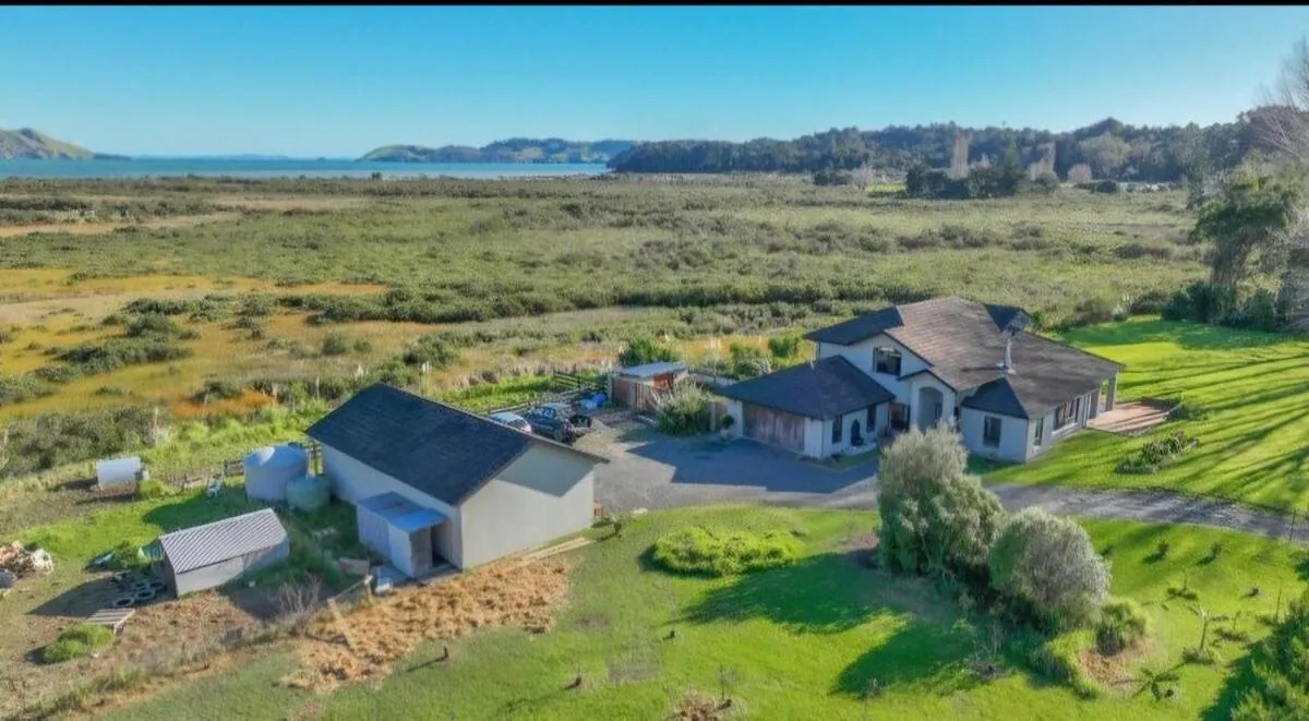 Mangrove Manor